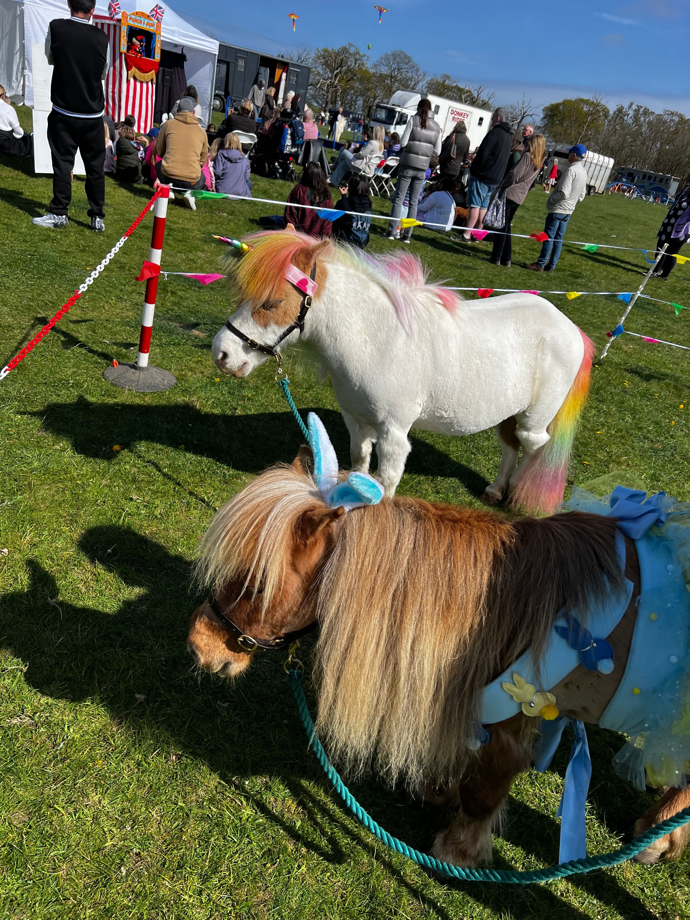 MINI HOOF EVENTS's image