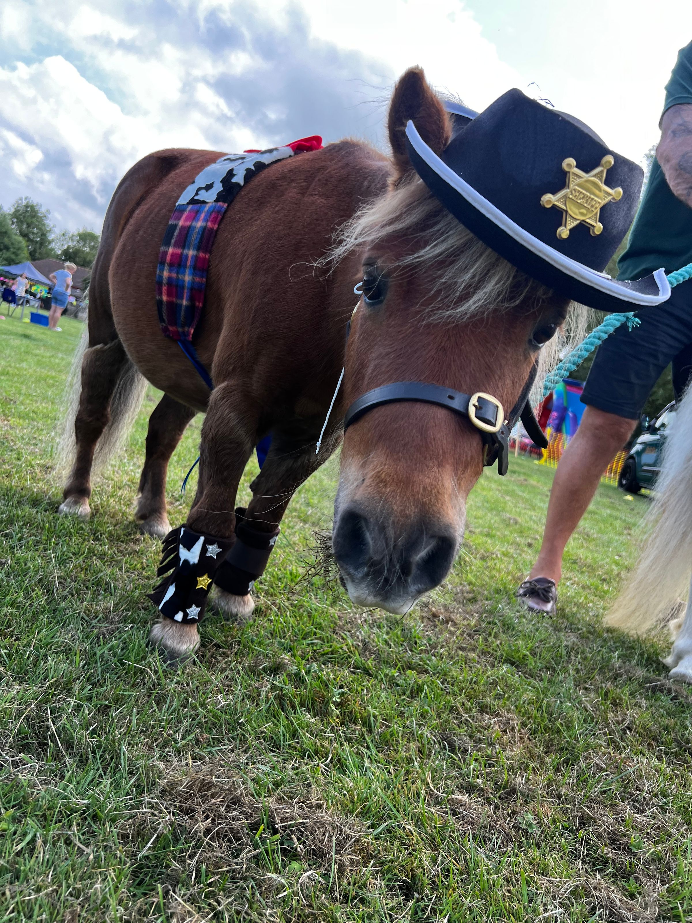 MINI HOOF EVENTS's image