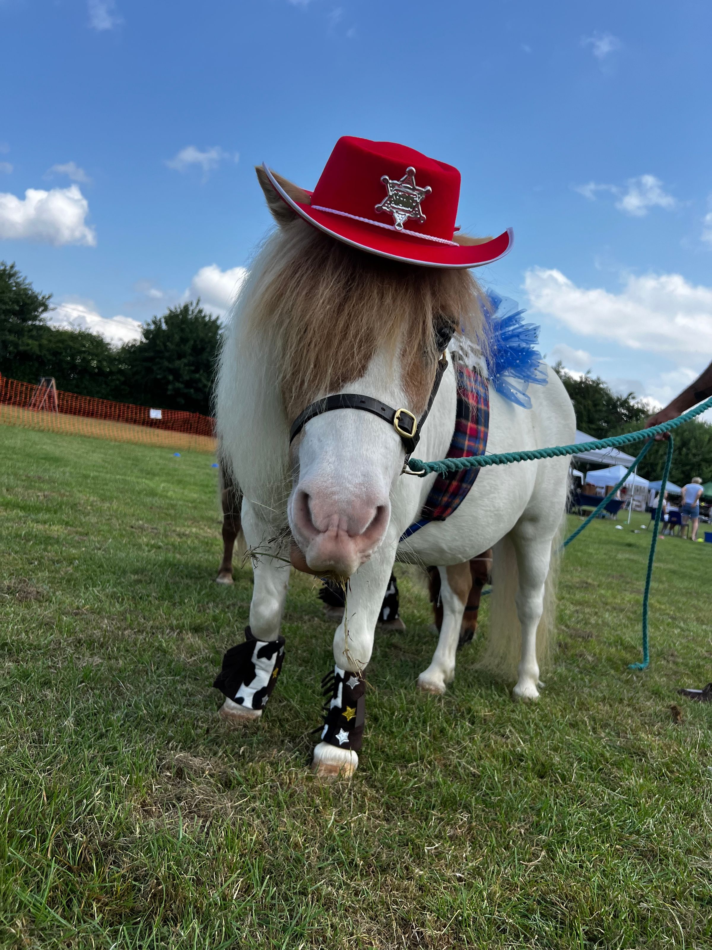 MINI HOOF EVENTS's image
