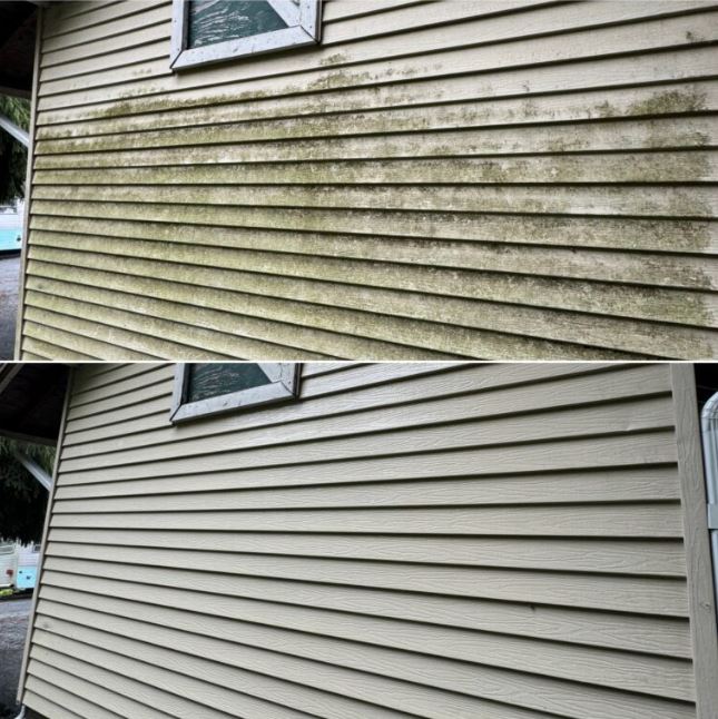 Oasis Power & Soft Wash's image