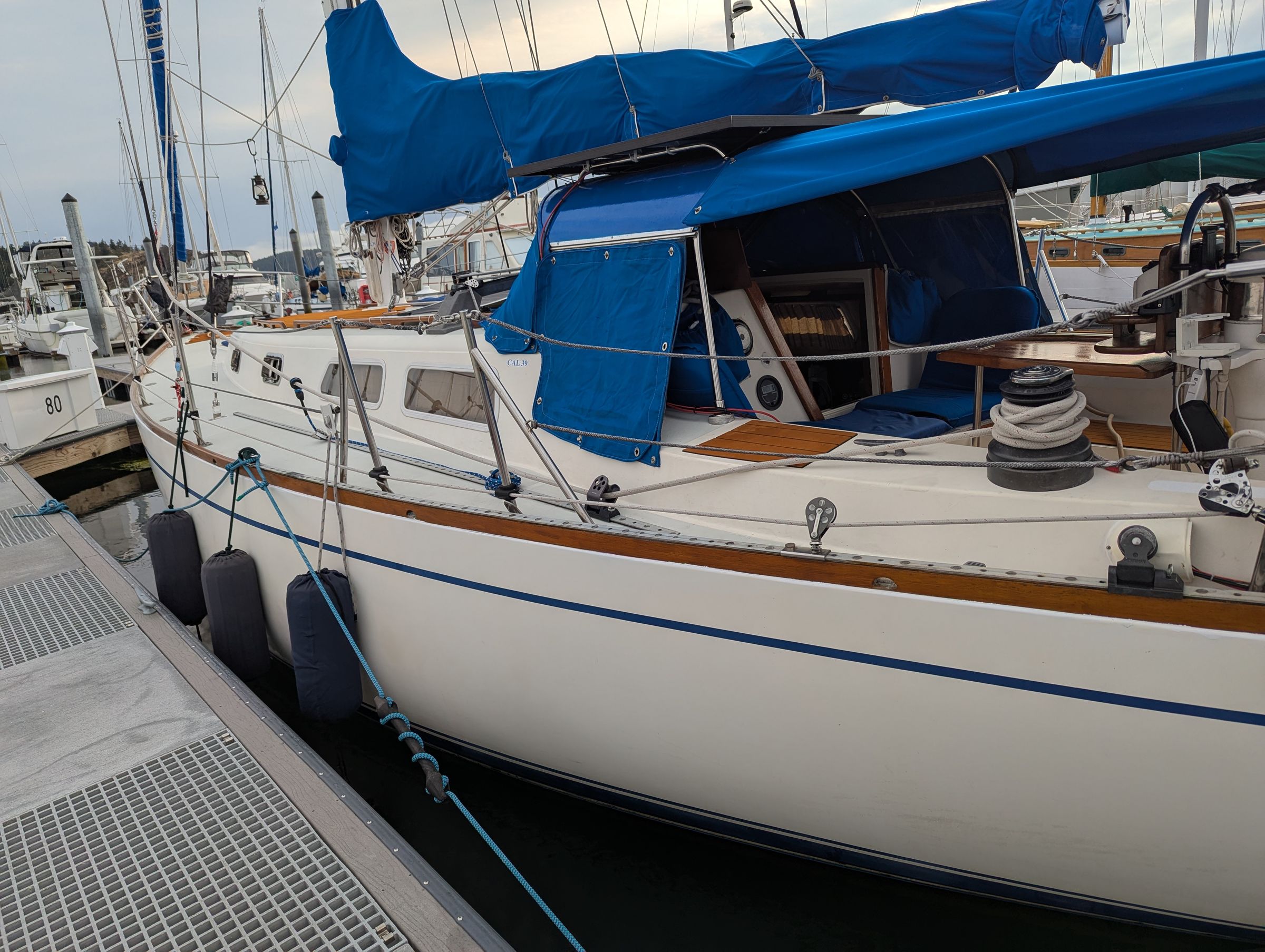 Cal39 Sailing Lessons and Charters's image