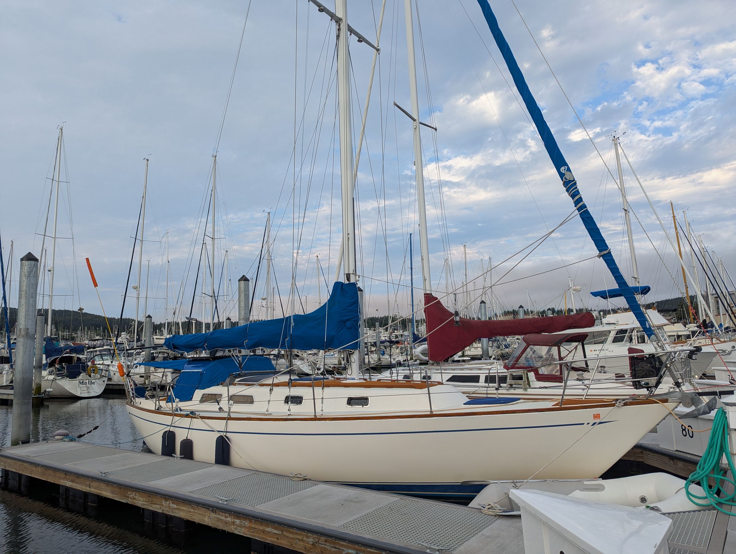 Cal39 Sailing Lessons and Charters's image