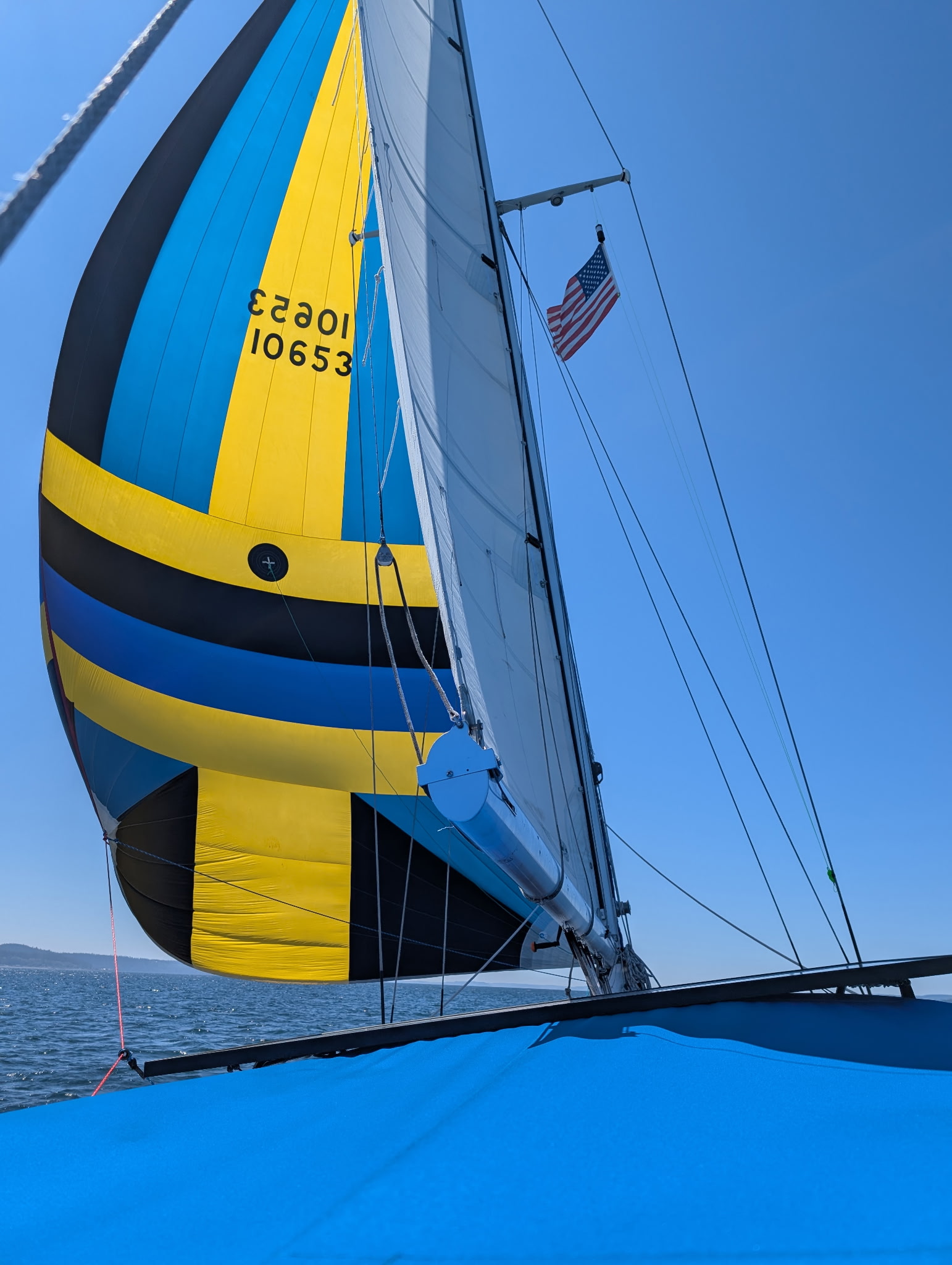 Cal39 Spinnaker