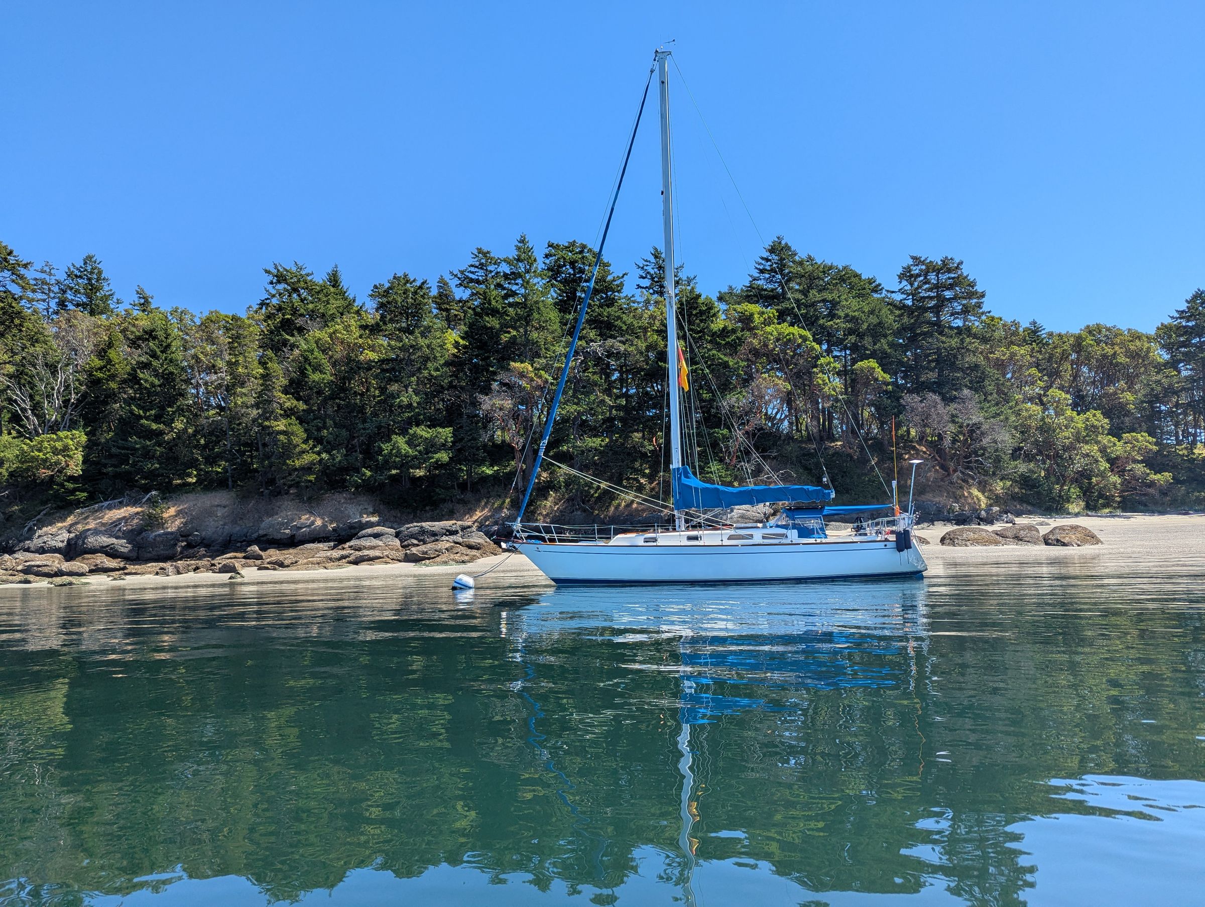 Cal39 Sailing Lessons and Charters's image