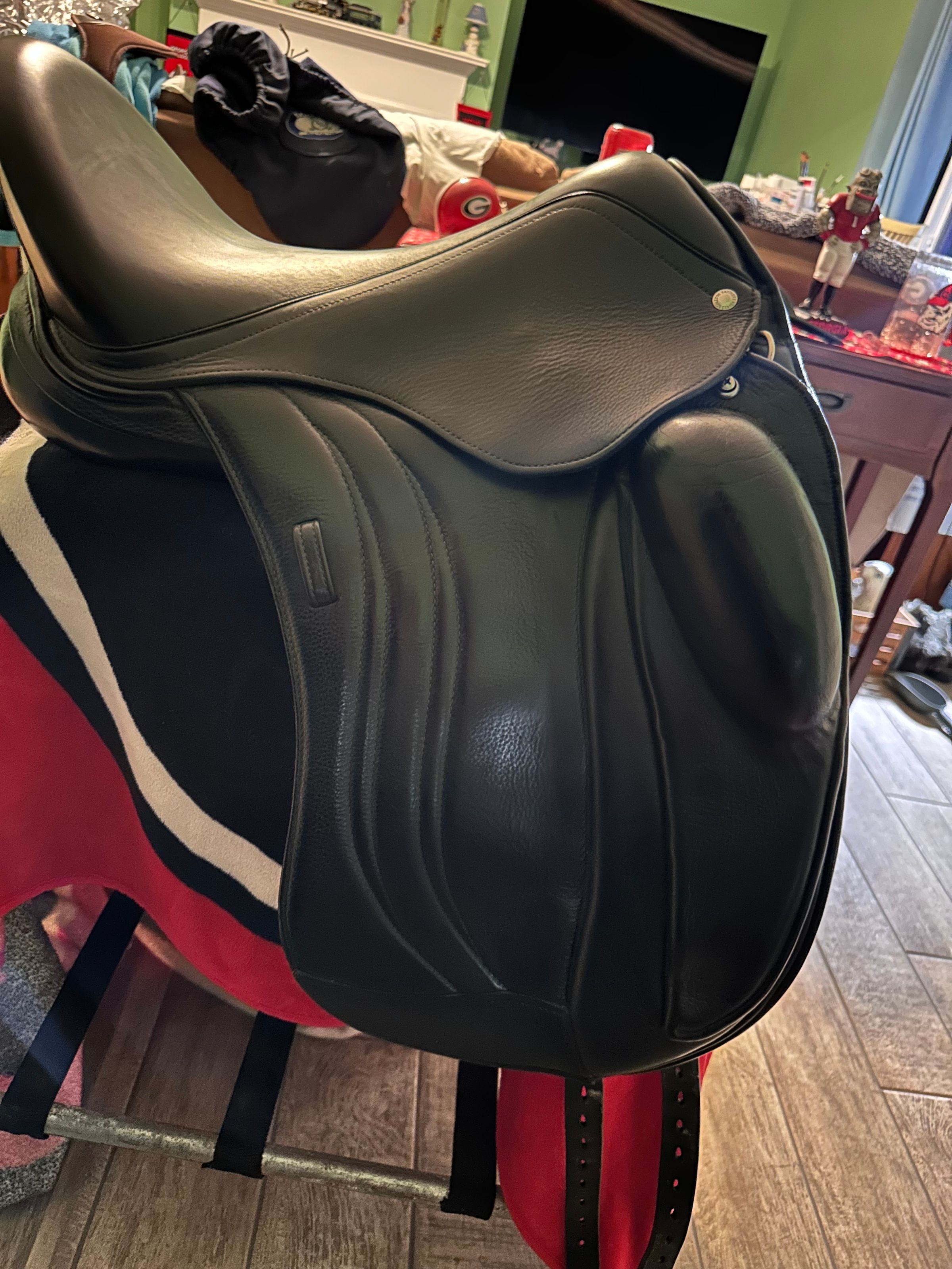 Coastal Equine comfort's image