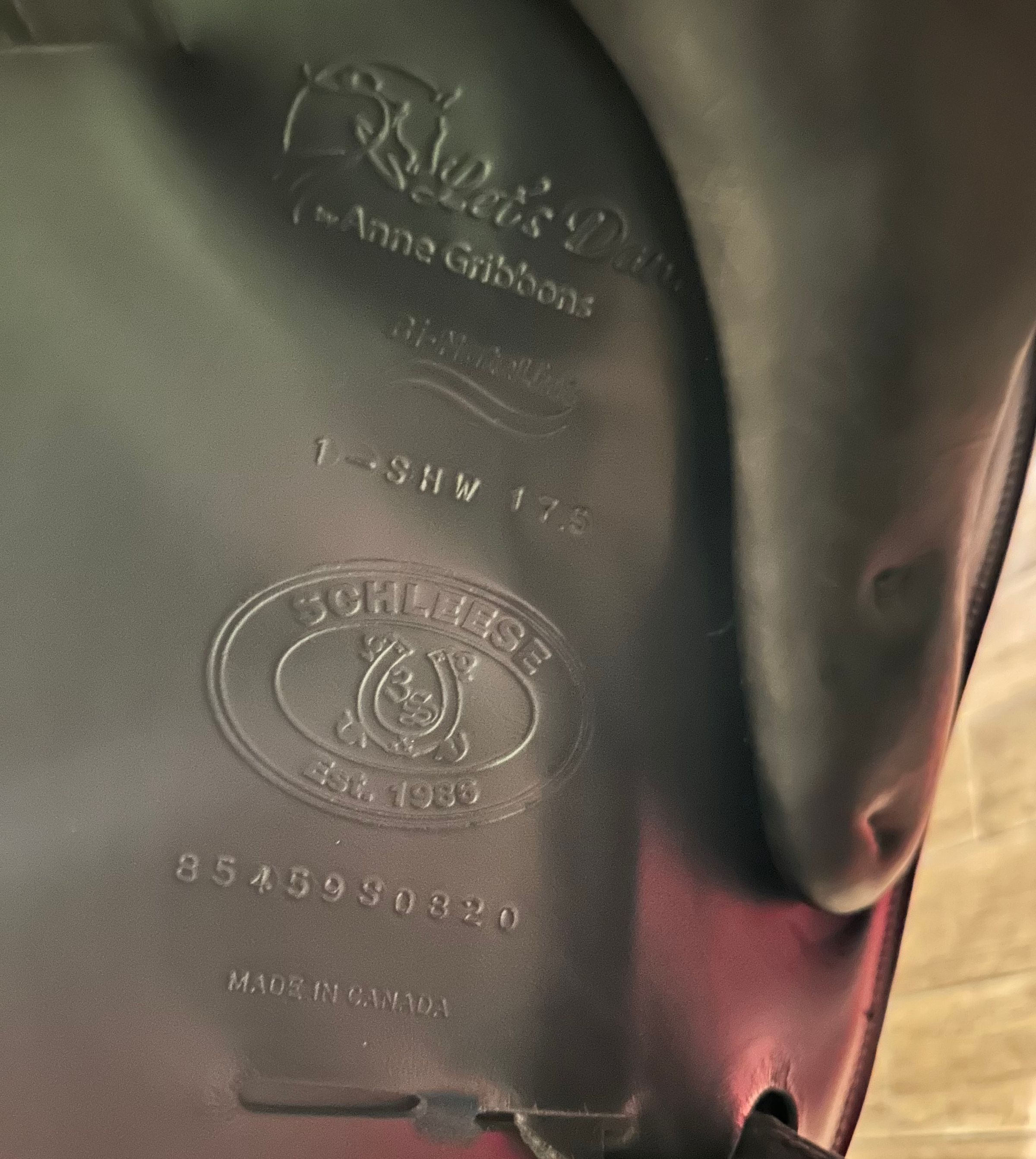 Coastal Equine comfort's image