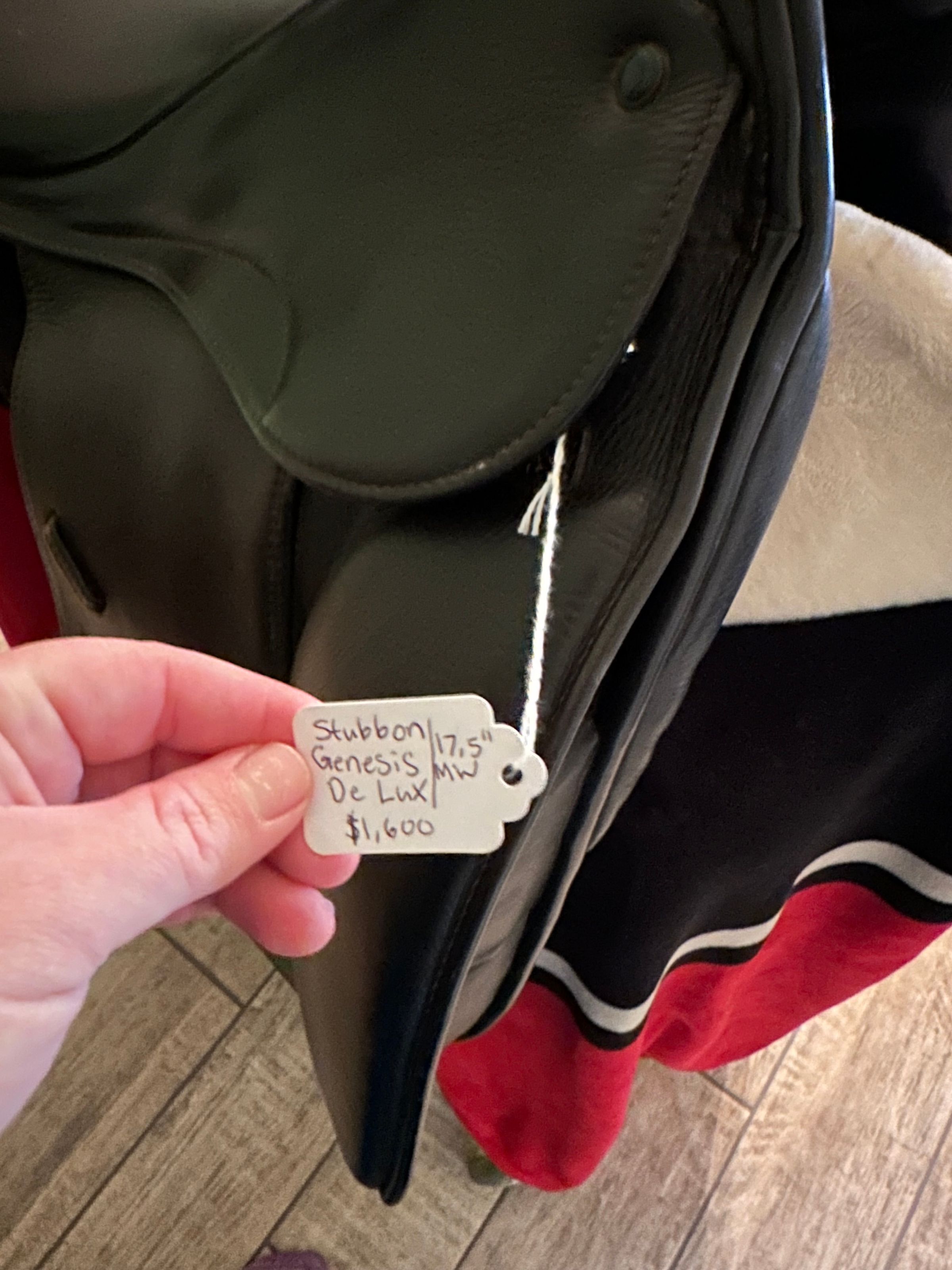 Coastal Equine comfort's image