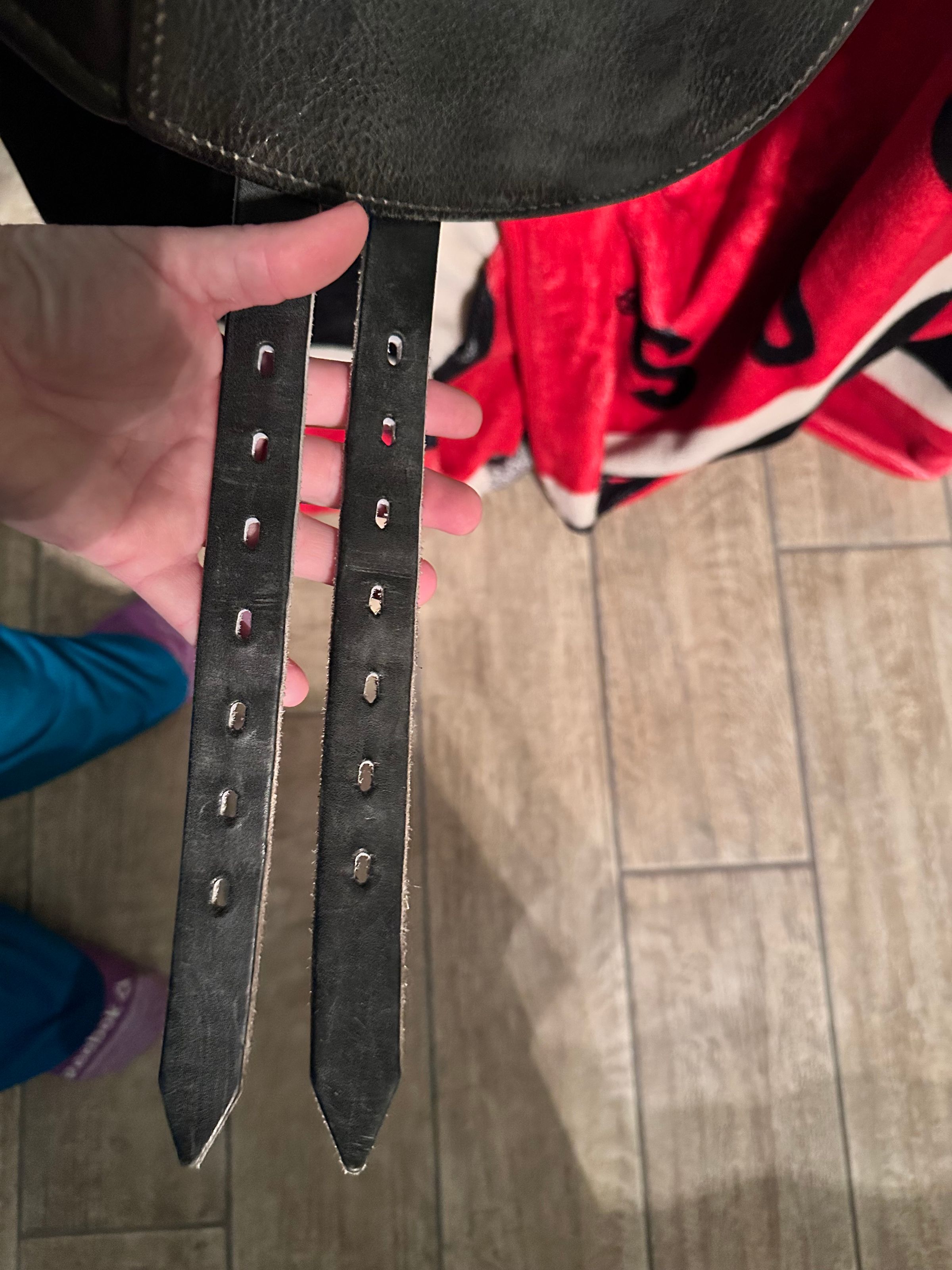 Coastal Equine comfort's image