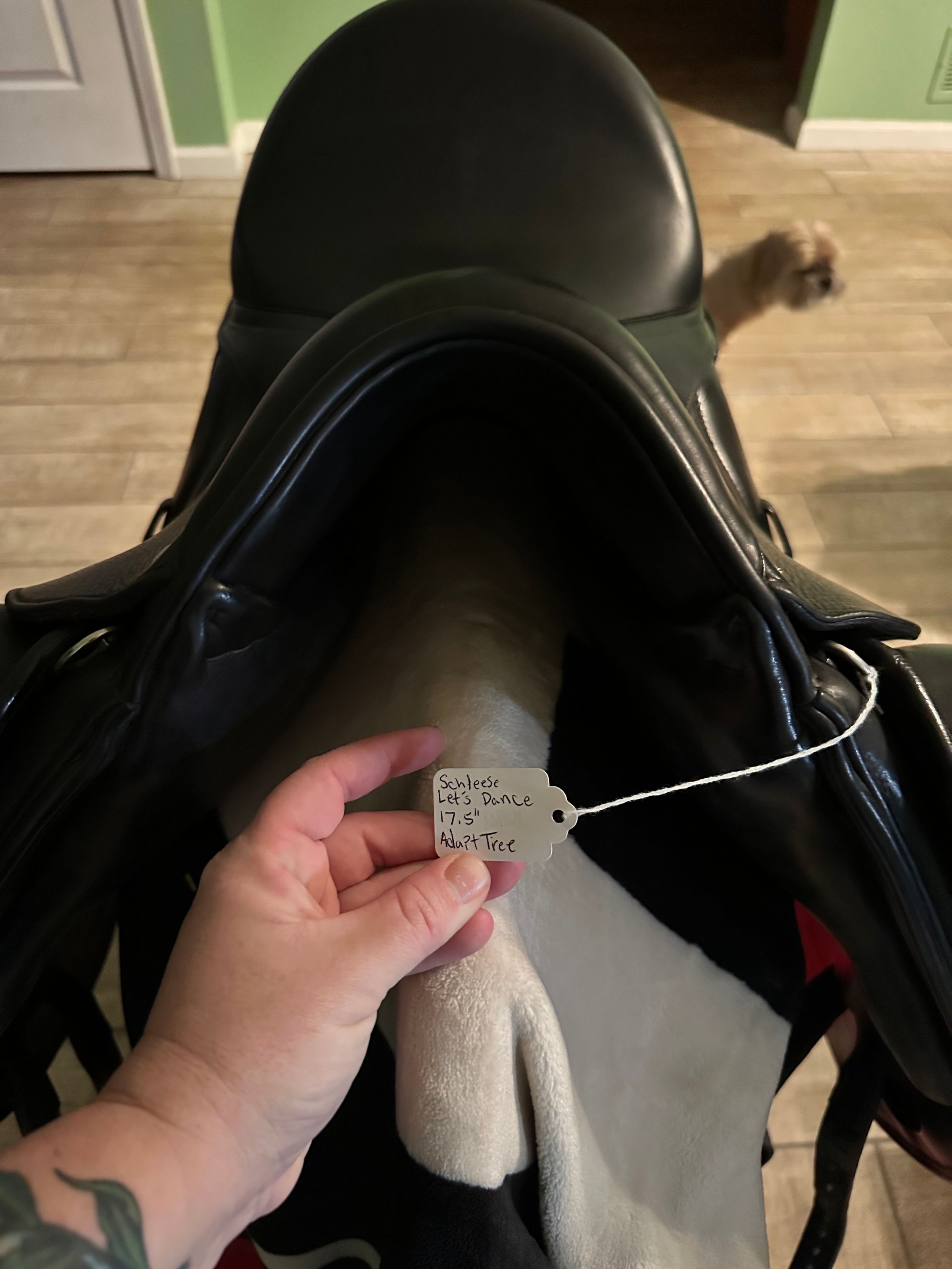 Coastal Equine comfort's image