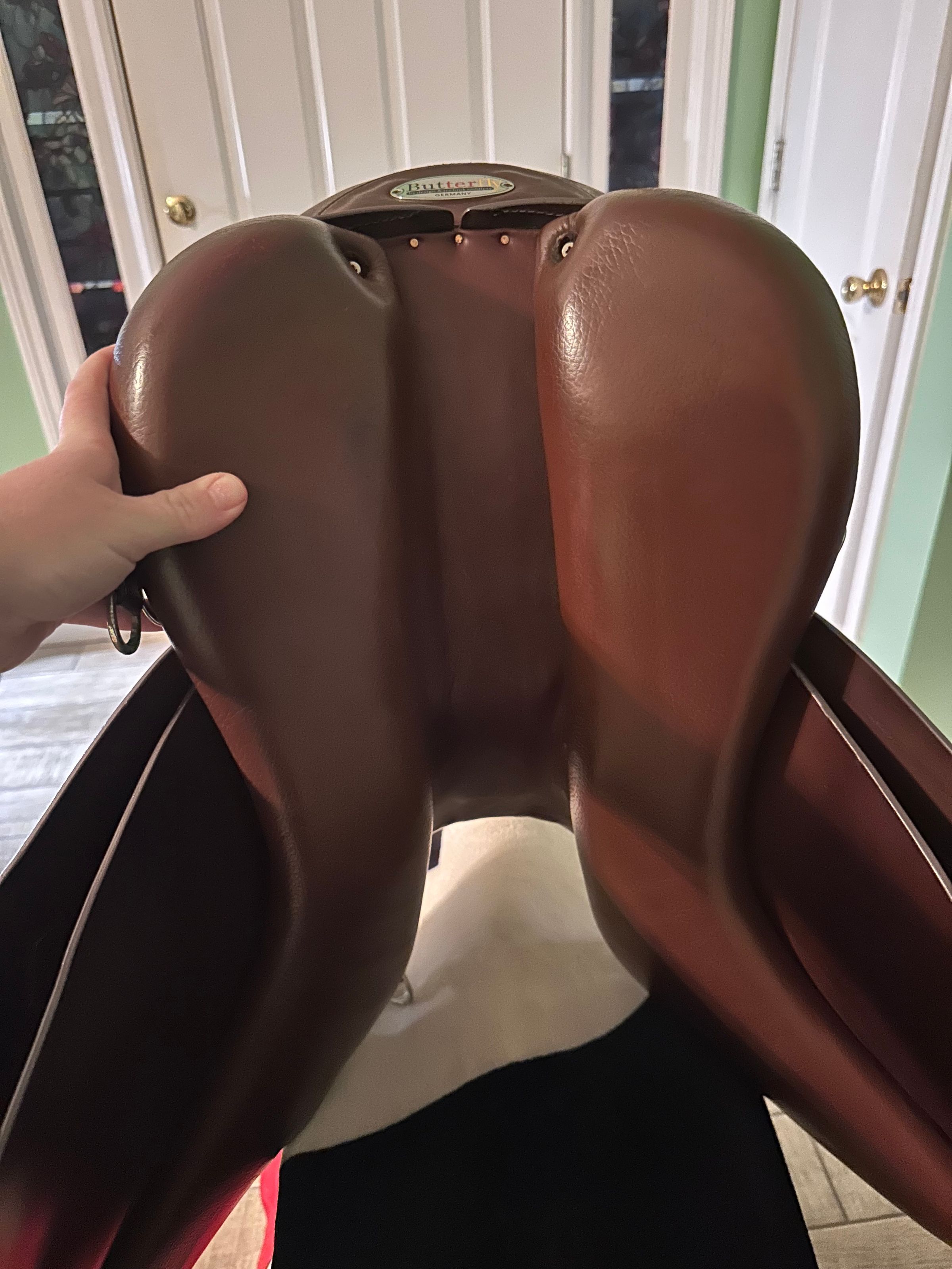 Coastal Equine comfort's image