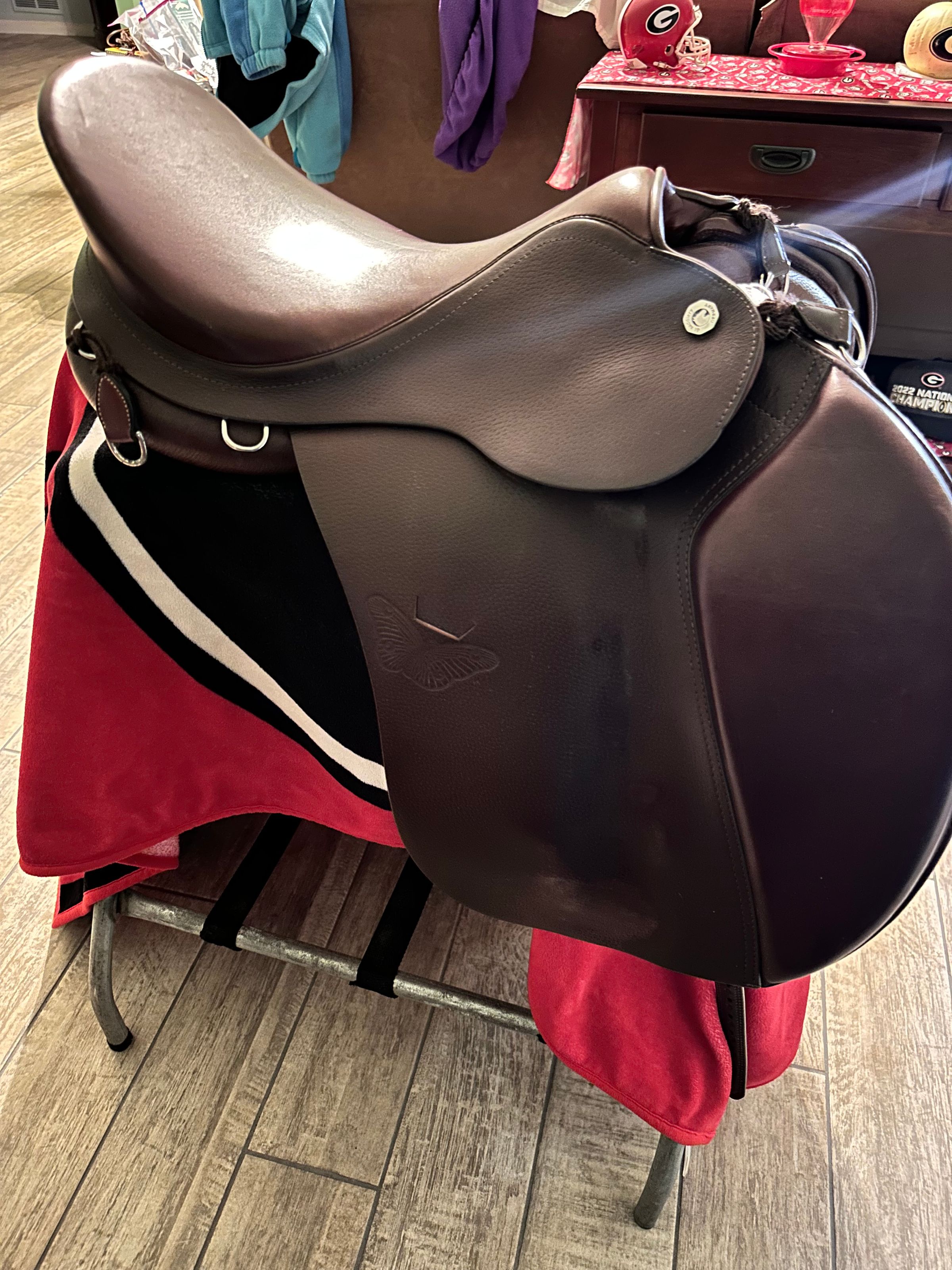 Coastal Equine comfort's image