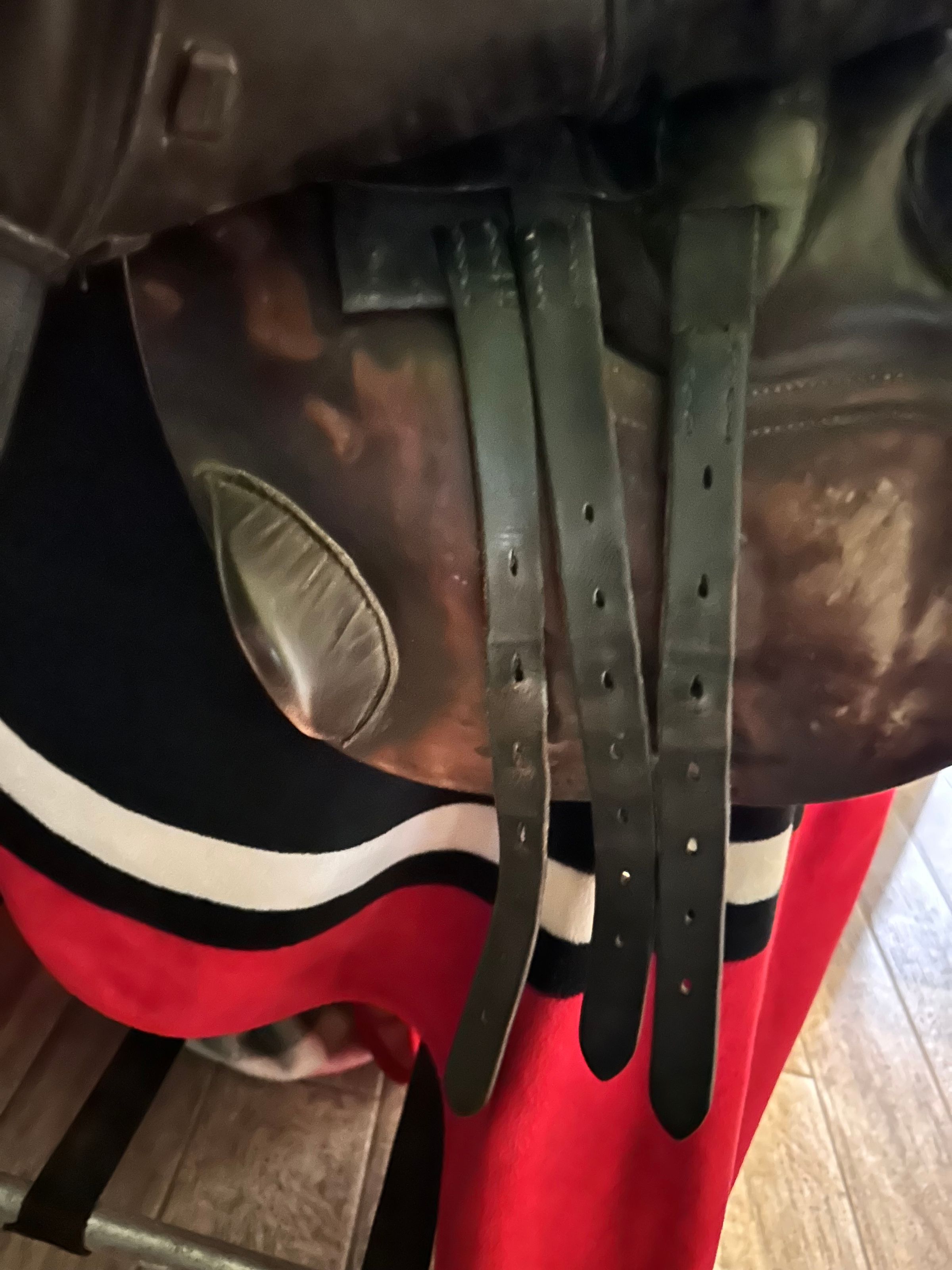 Coastal Equine comfort's image