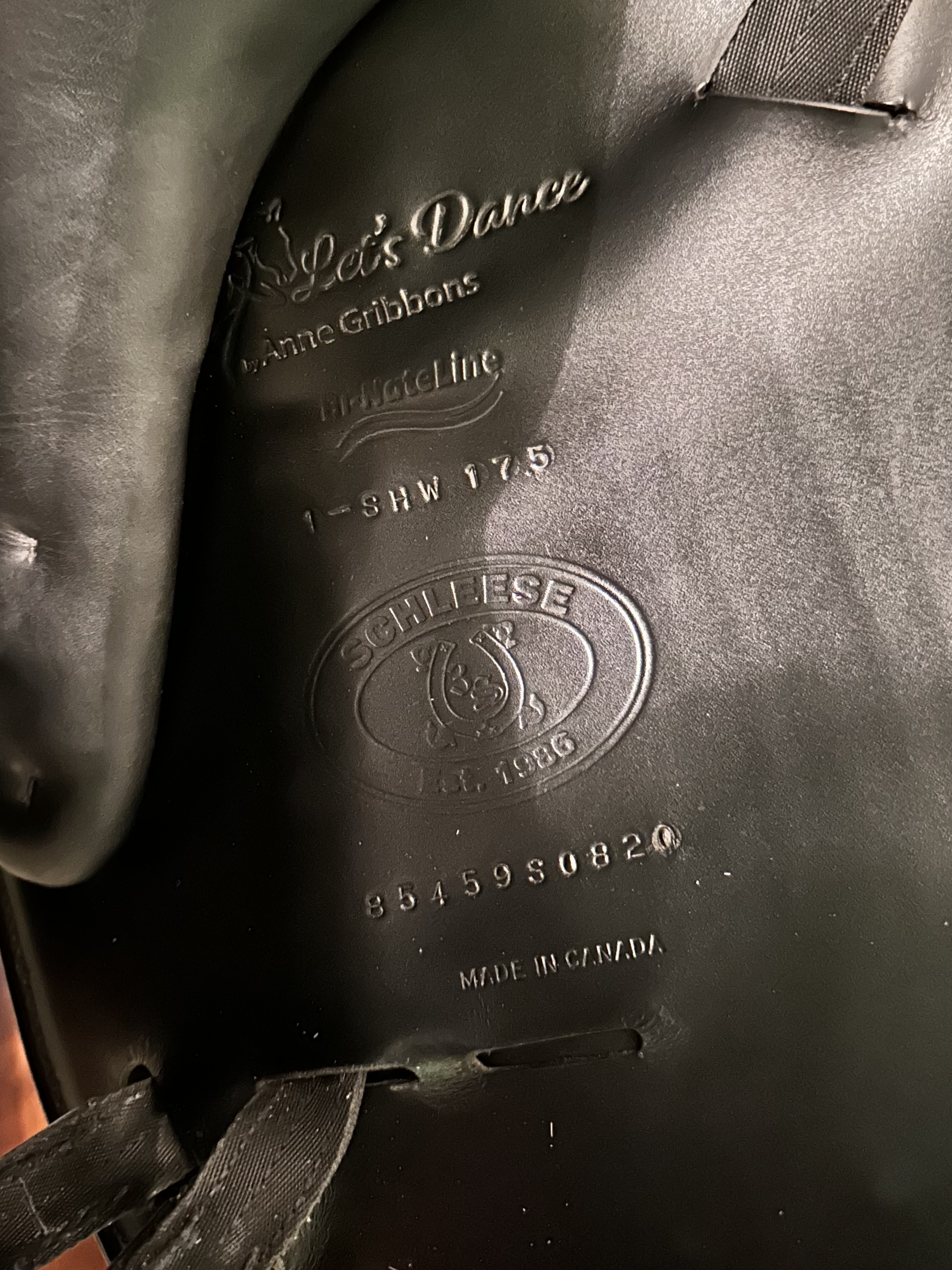 Coastal Equine comfort's image