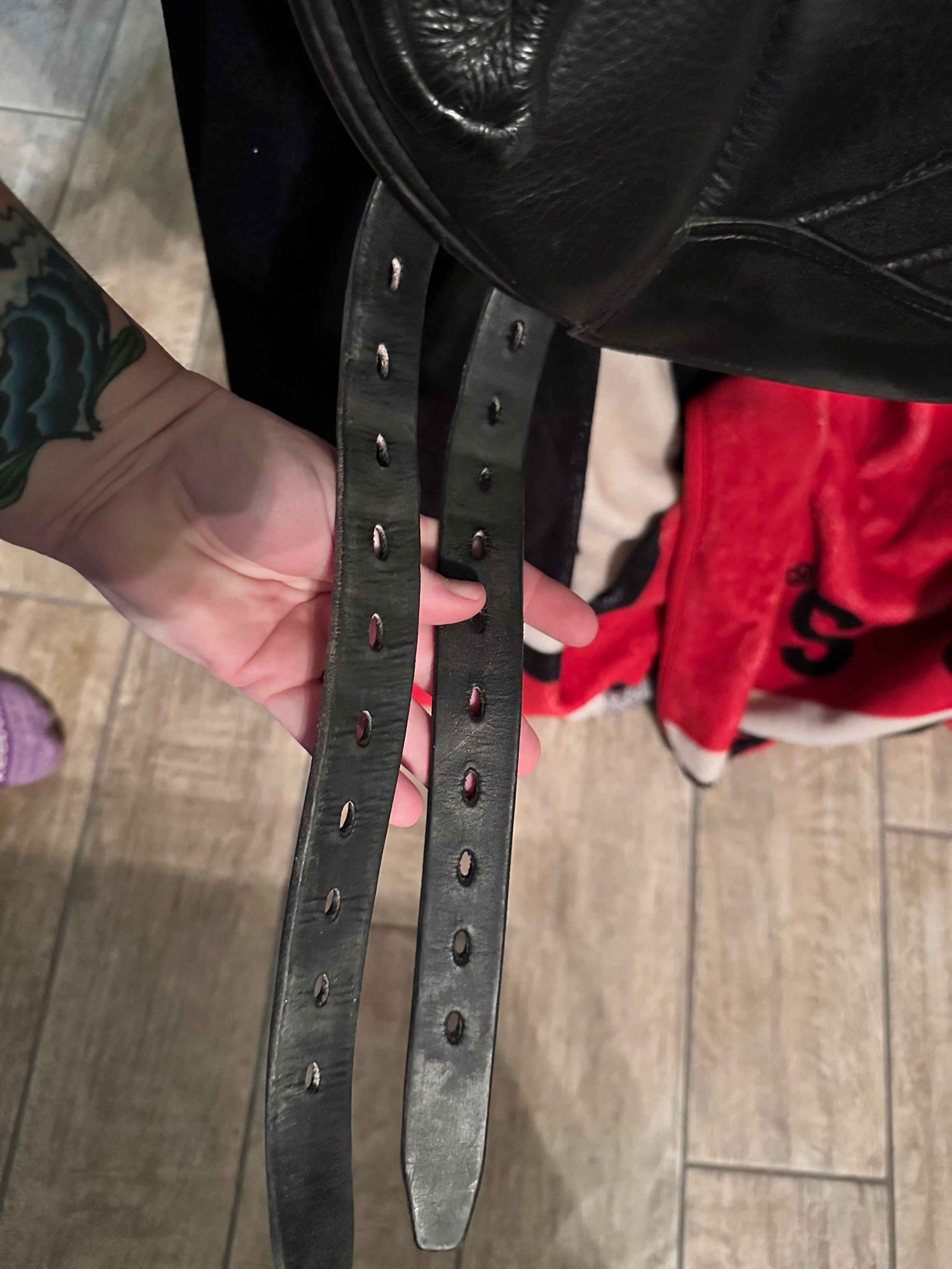 Coastal Equine comfort's image