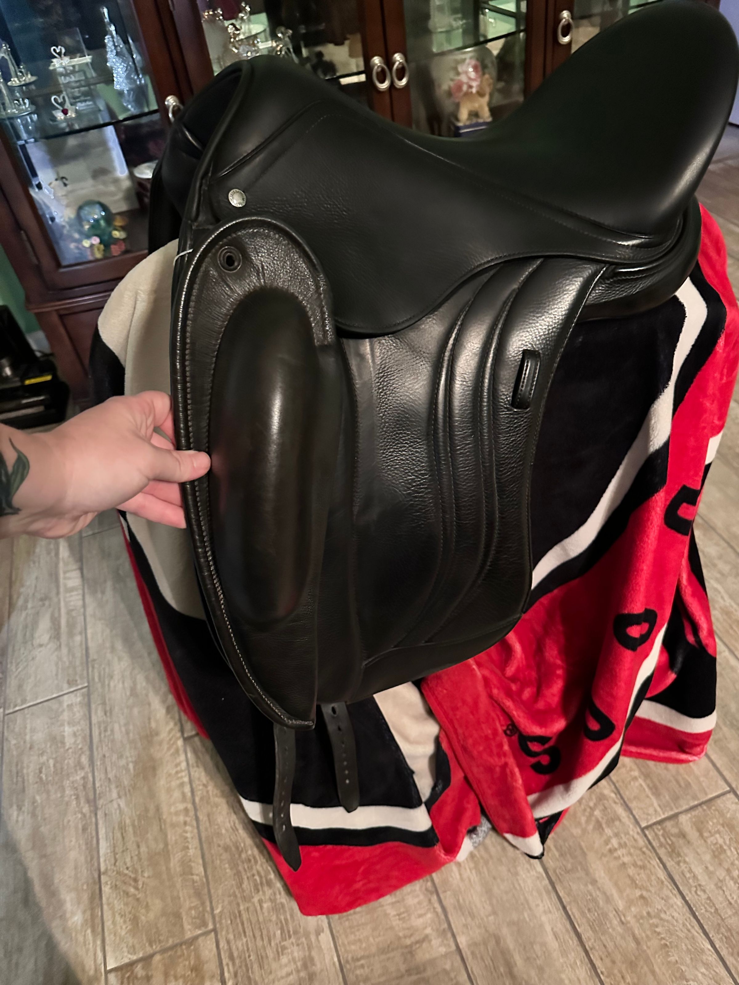 Coastal Equine comfort's image