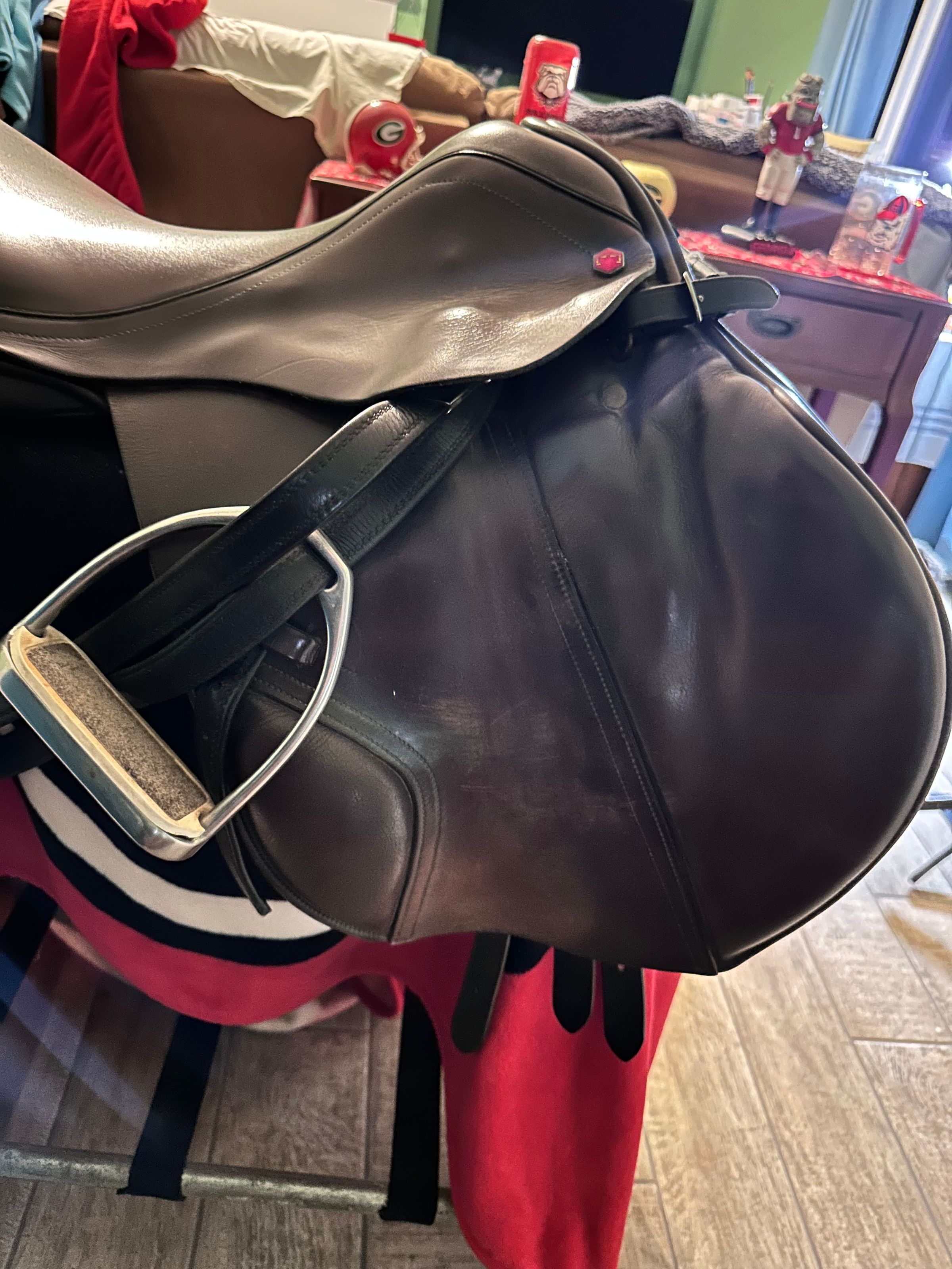 Coastal Equine comfort's image