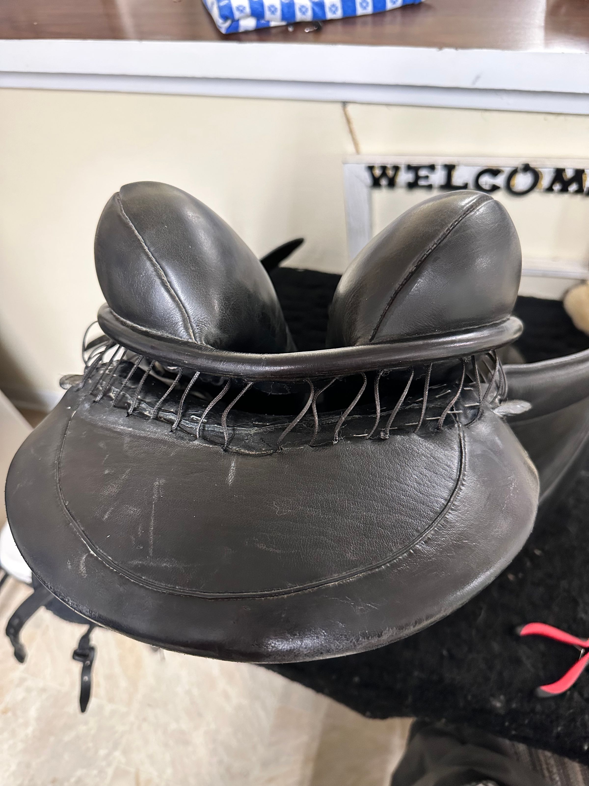 Coastal Equine comfort's image