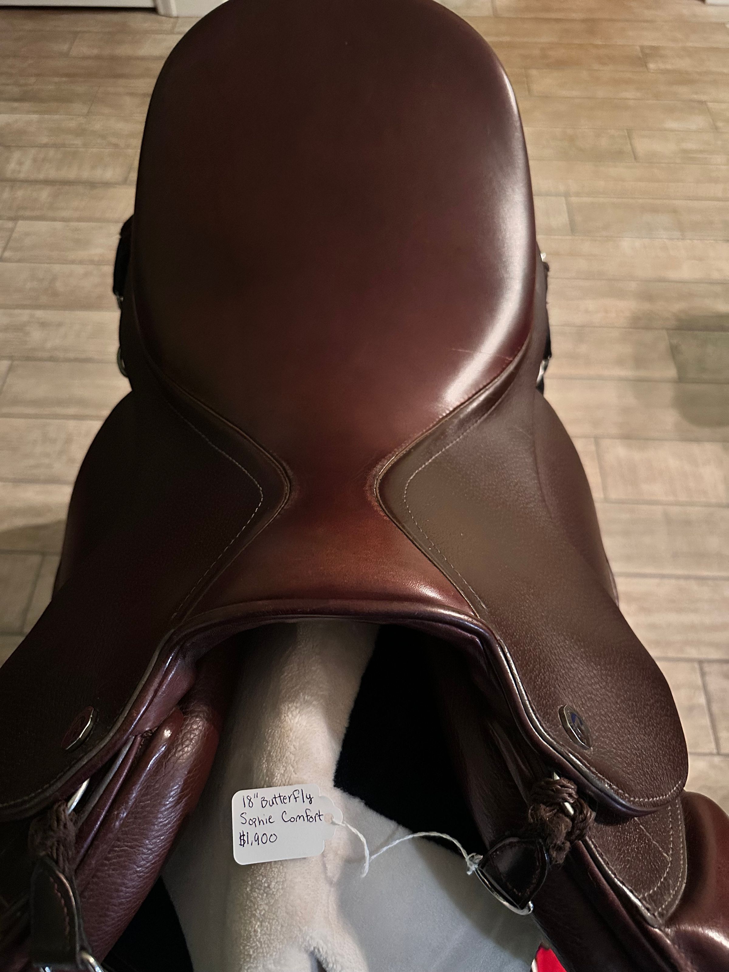 Coastal Equine comfort's image