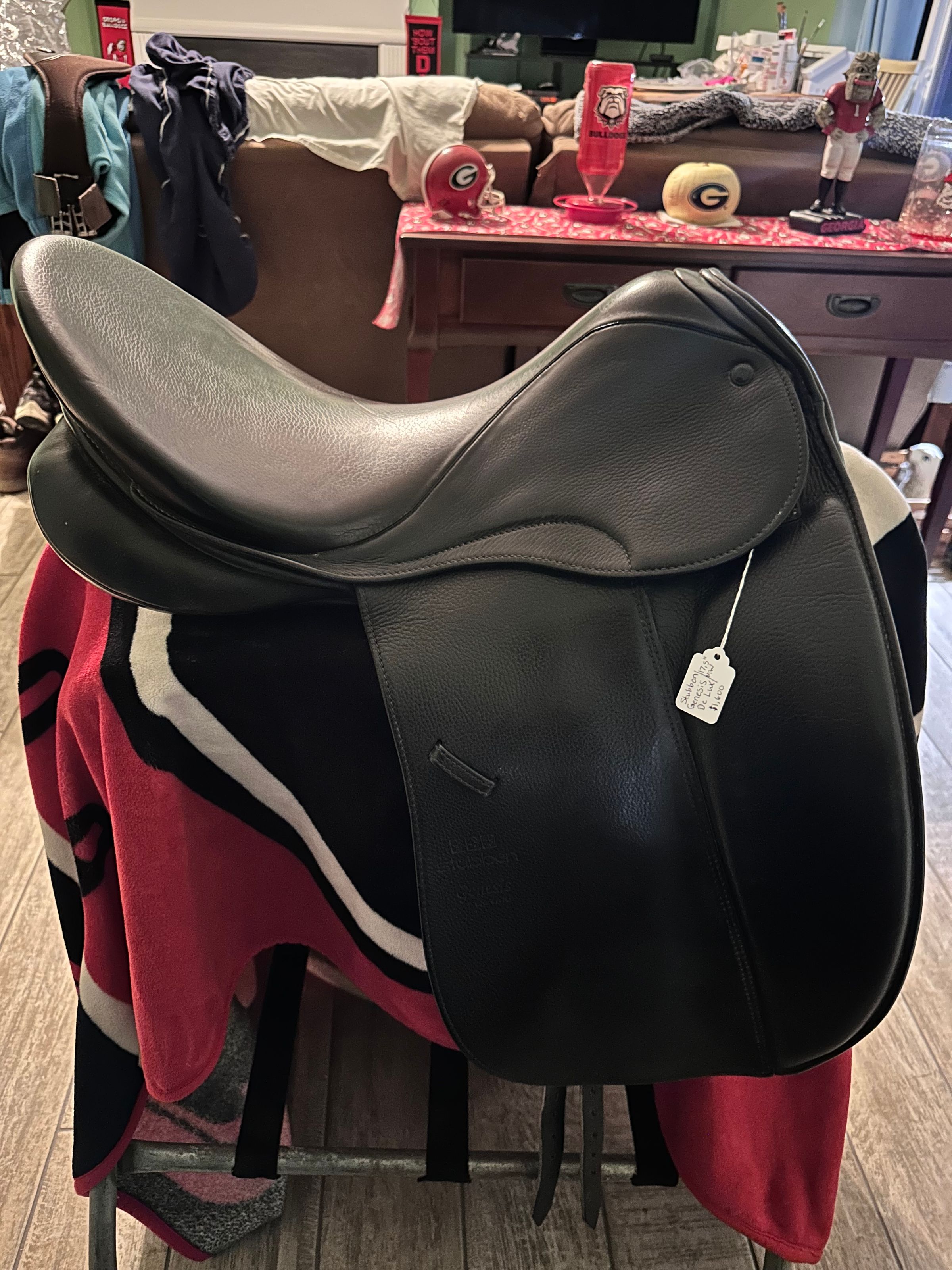 Coastal Equine comfort's image