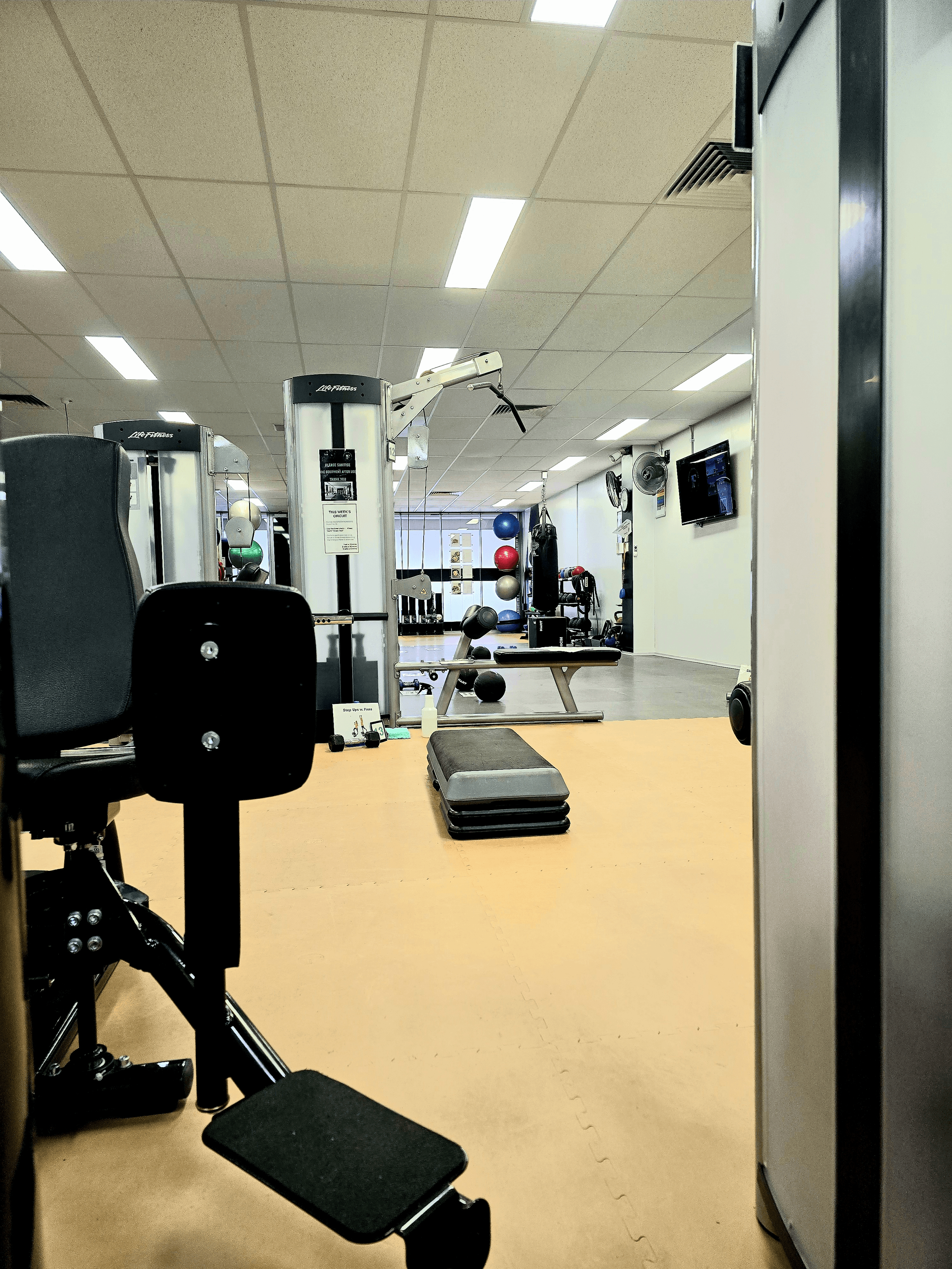 Female Fusion Fitness's image