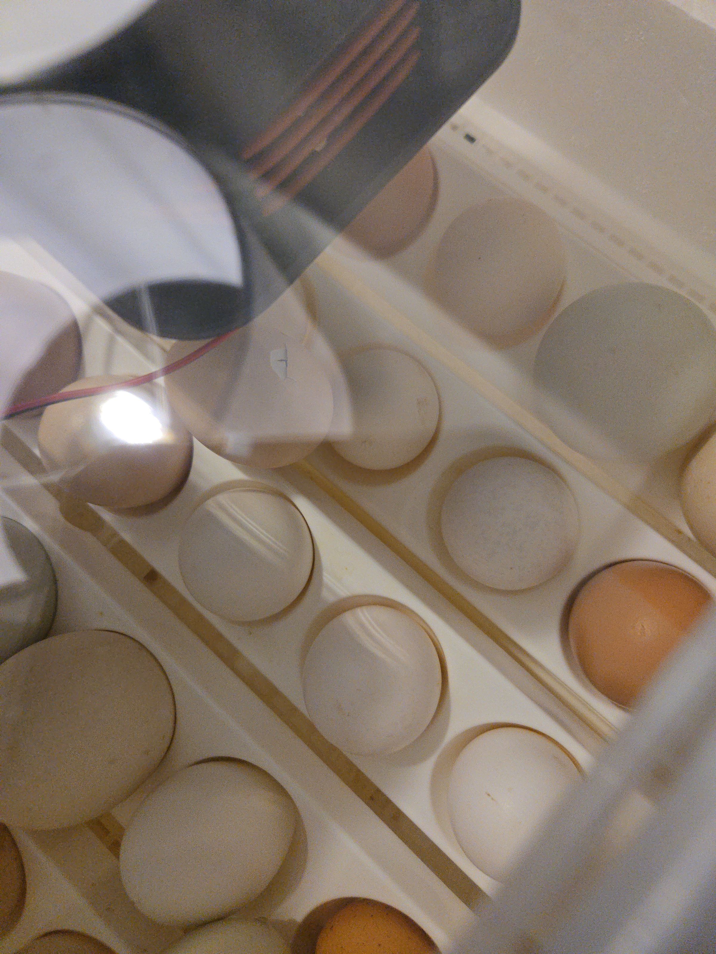 B's Cosmic Acreage's image