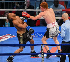 The Eleventh Round™| Resources for Combat Athletes's image