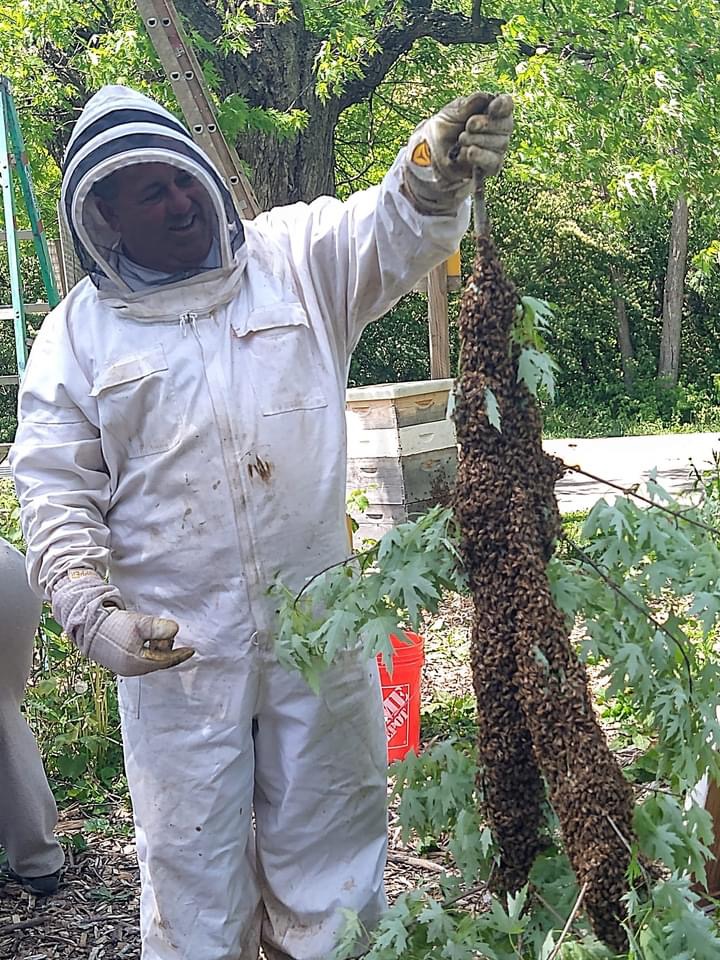 Service plus 's image