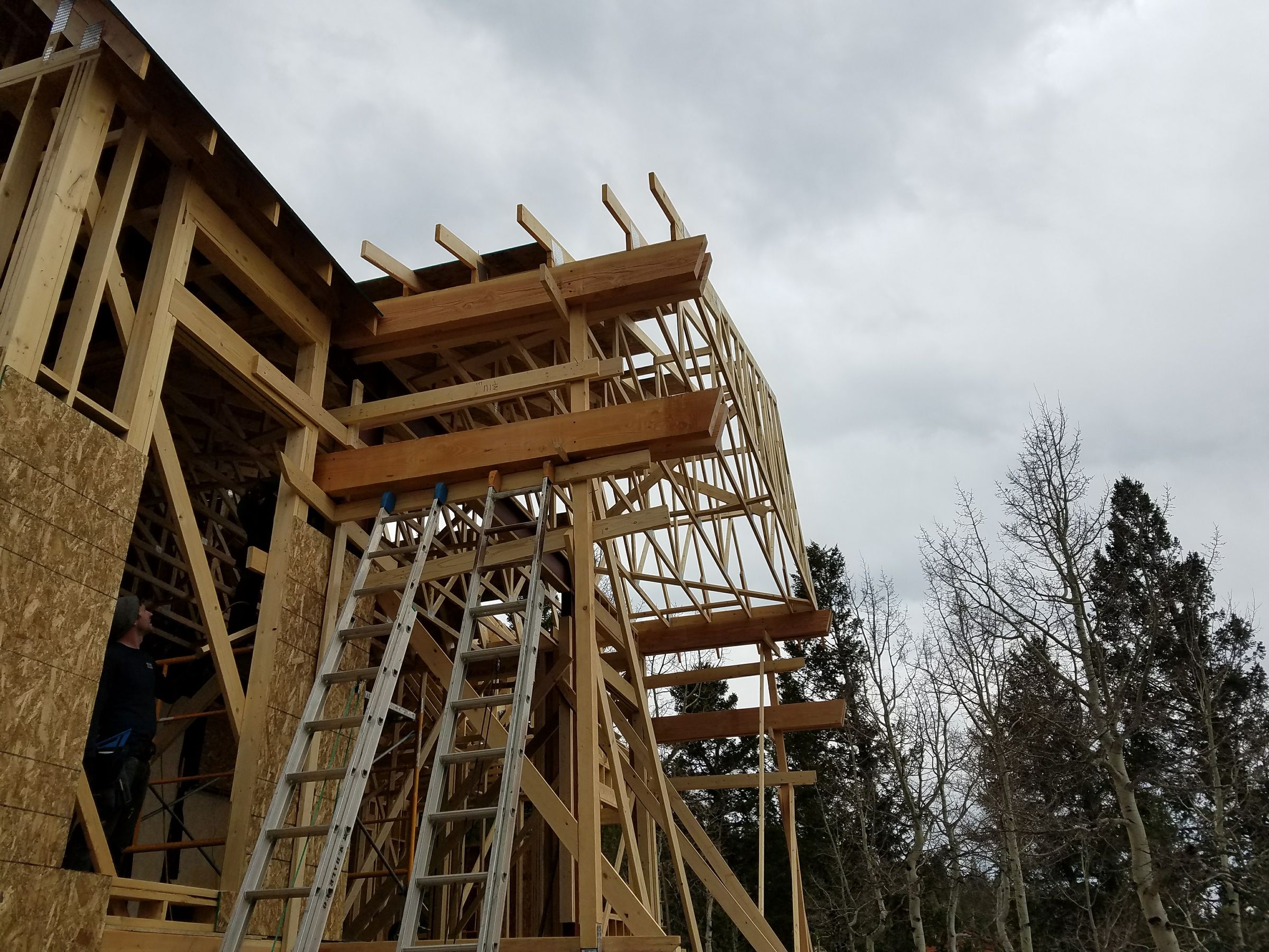 Blue Raven Building and Renovations LLC 's image