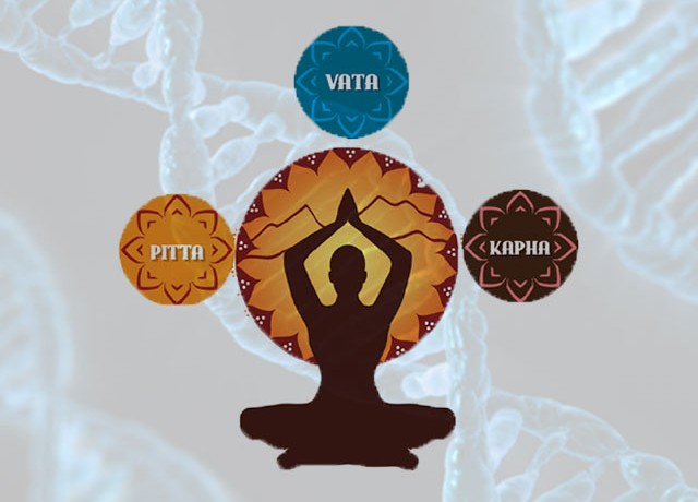 Seabreeze Ayurveda's image