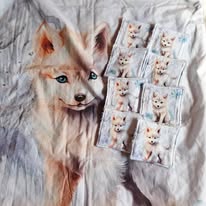 Couverture bébé et 8 lingettes