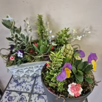 Montages de plantes avec une bougie