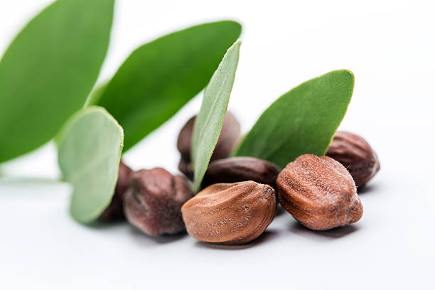 Zoë's Celestial wonders's image