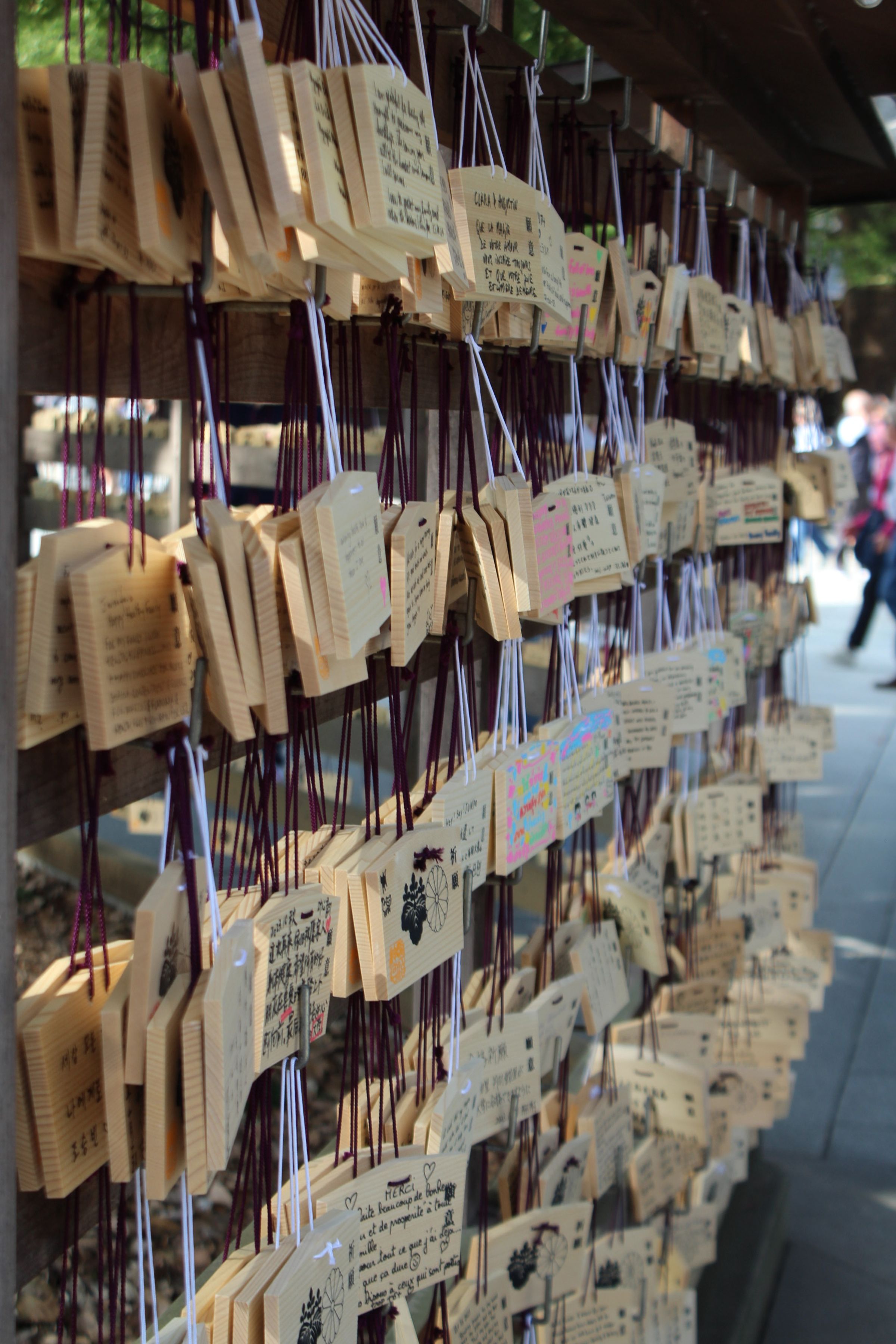 LuisViajeroPR's image