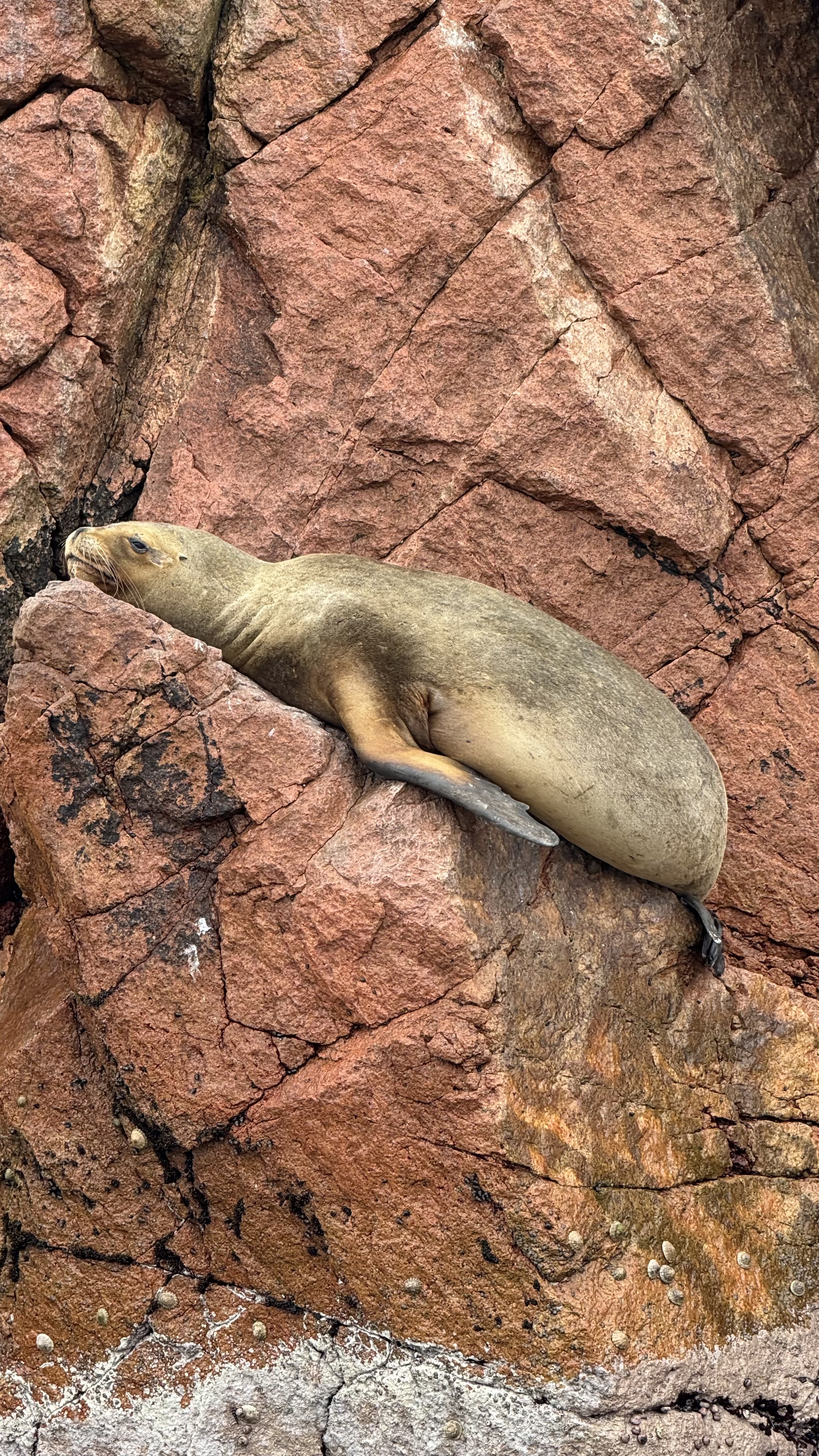 LuisViajeroPR's image