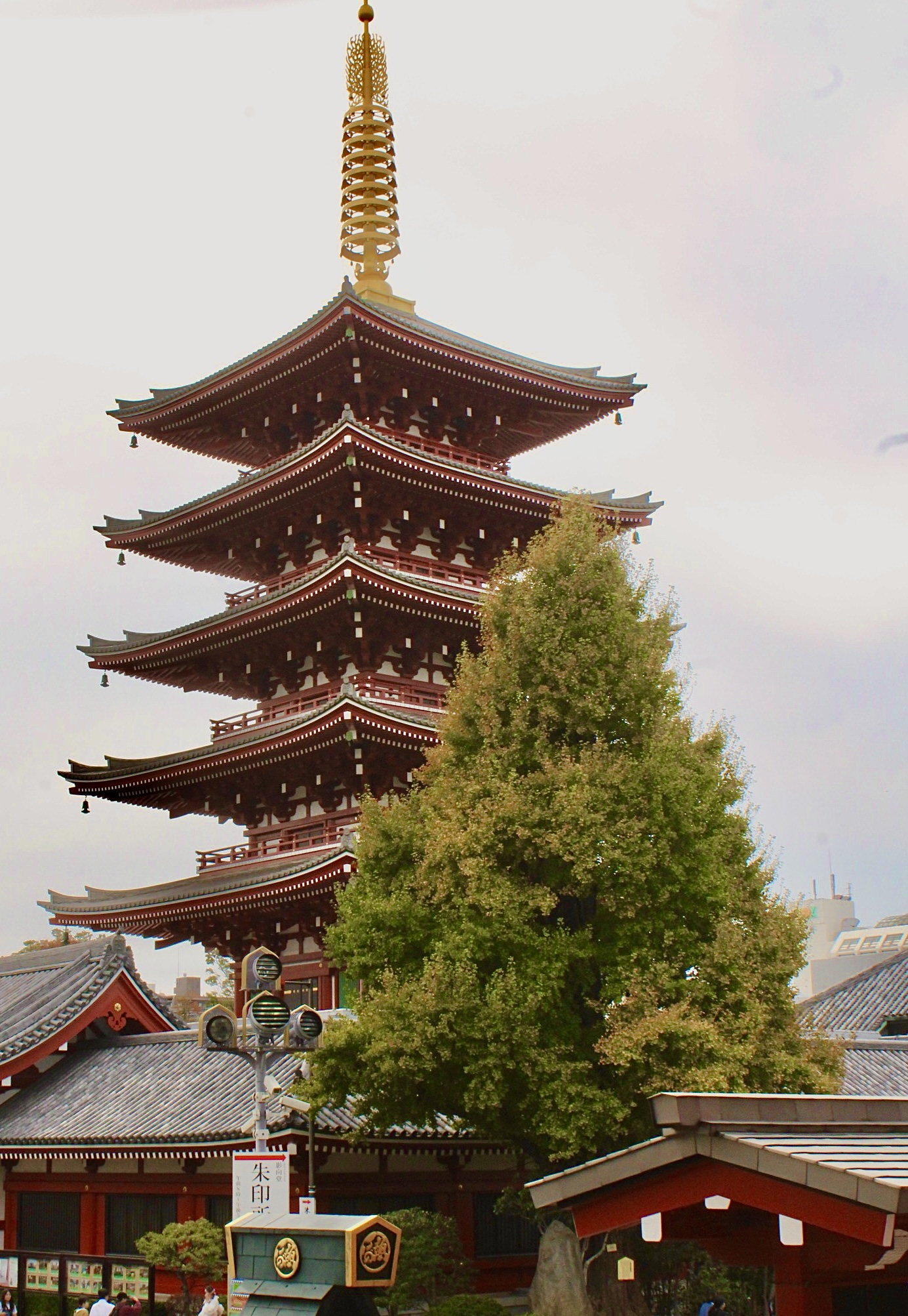 LuisViajeroPR's image