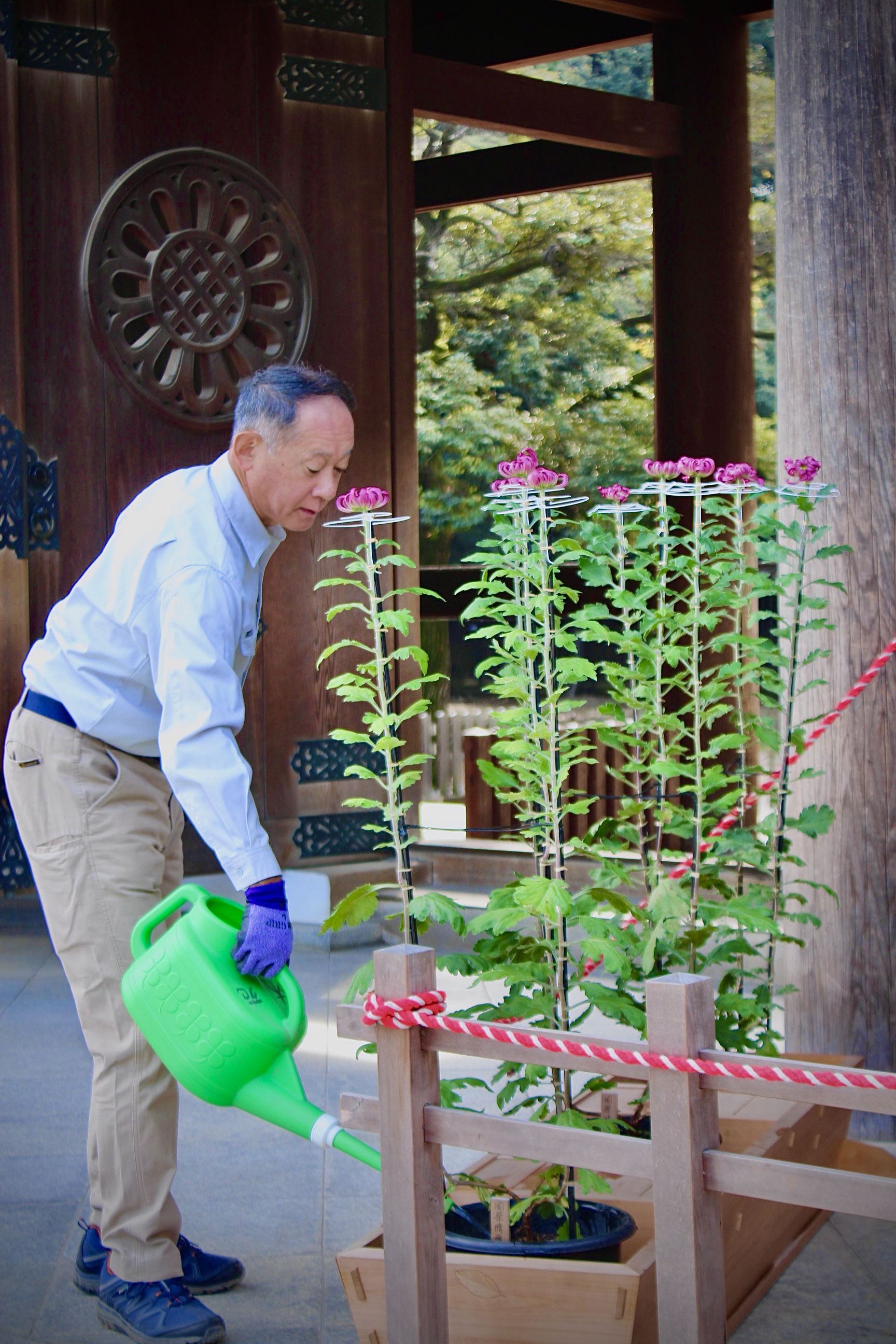 LuisViajeroPR's image