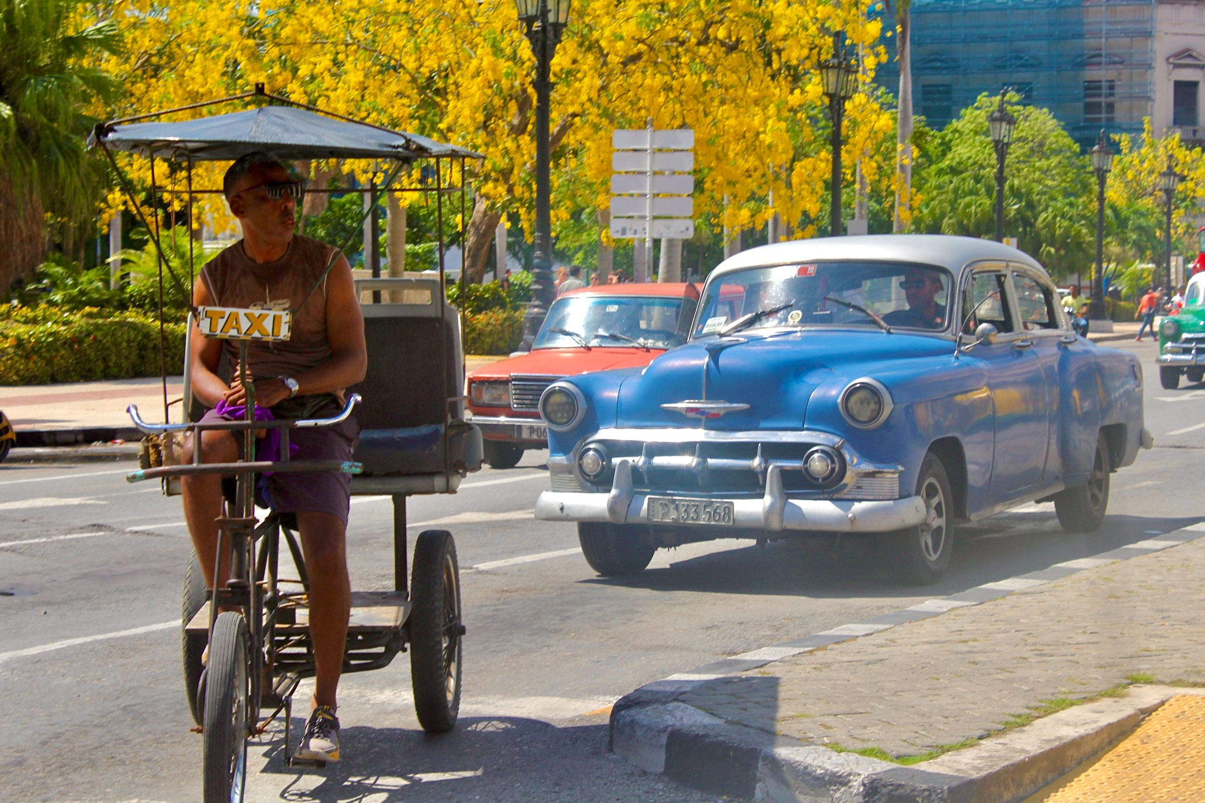 LuisViajeroPR's image