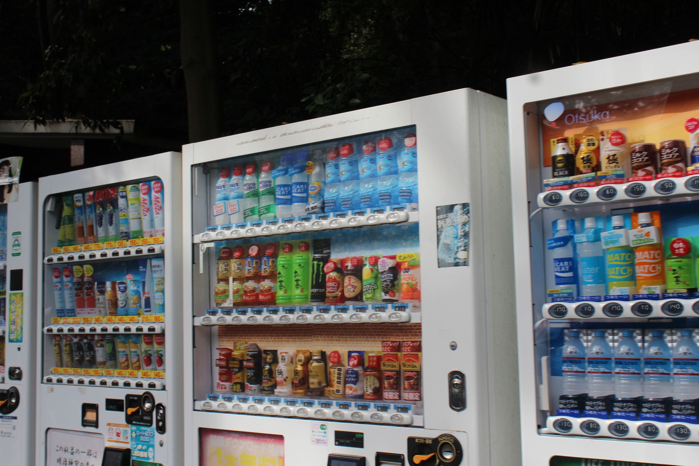 LuisViajeroPR's image