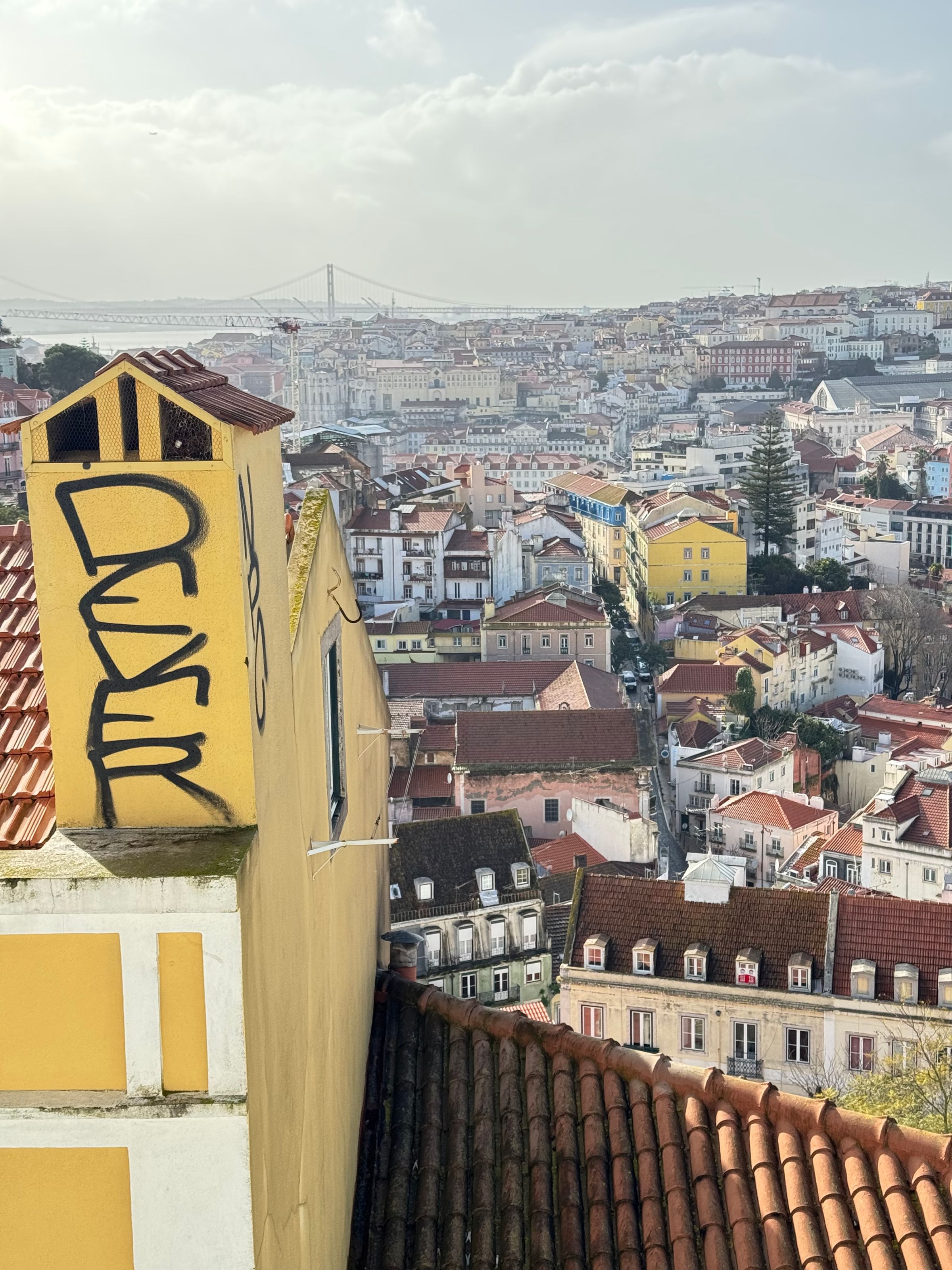 LuisViajeroPR's image