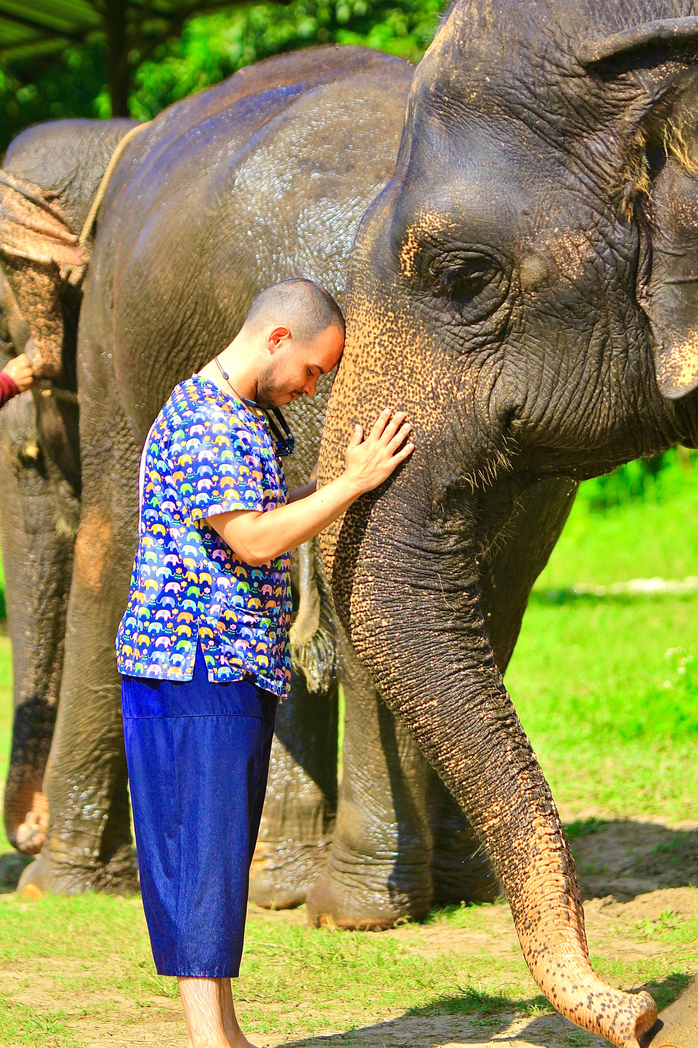 LuisViajeroPR's image