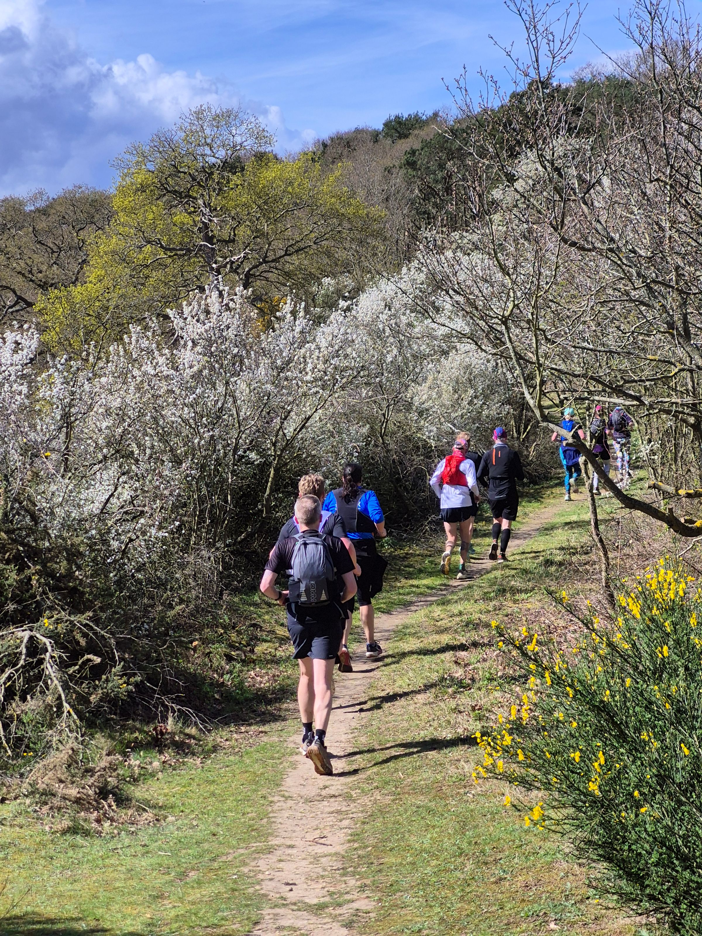 COASTAL TRAIL RUNNERS 's image