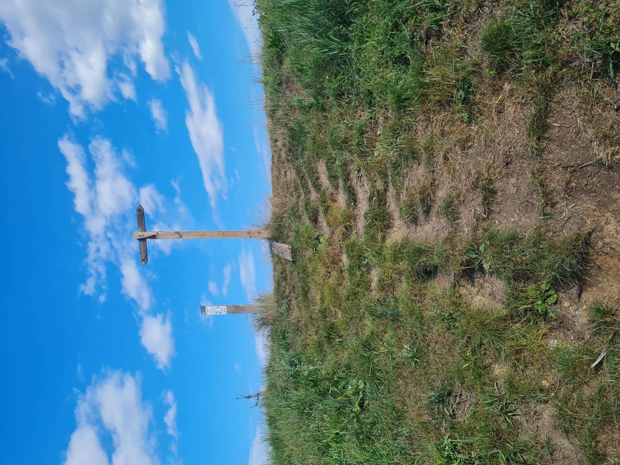 COASTAL TRAIL RUNNERS 's image