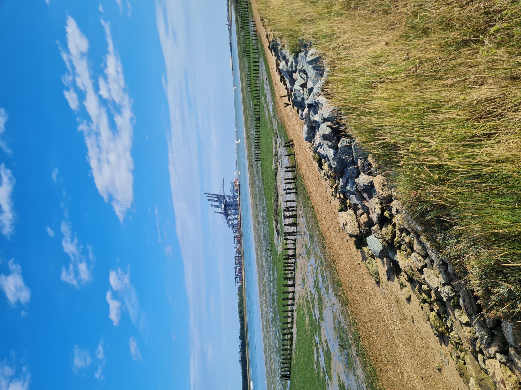 COASTAL TRAIL RUNNERS 's image