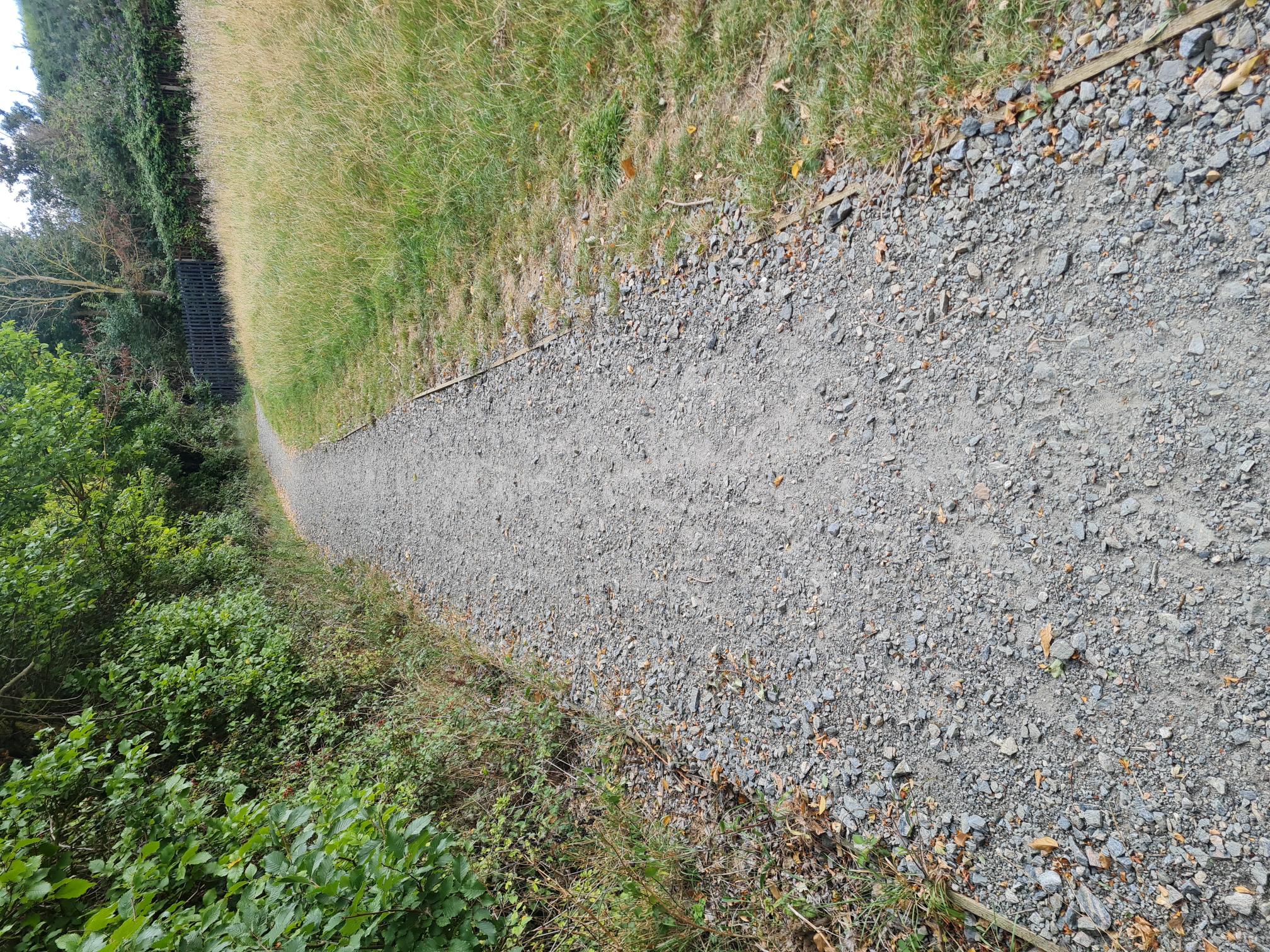 COASTAL TRAIL RUNNERS 's image