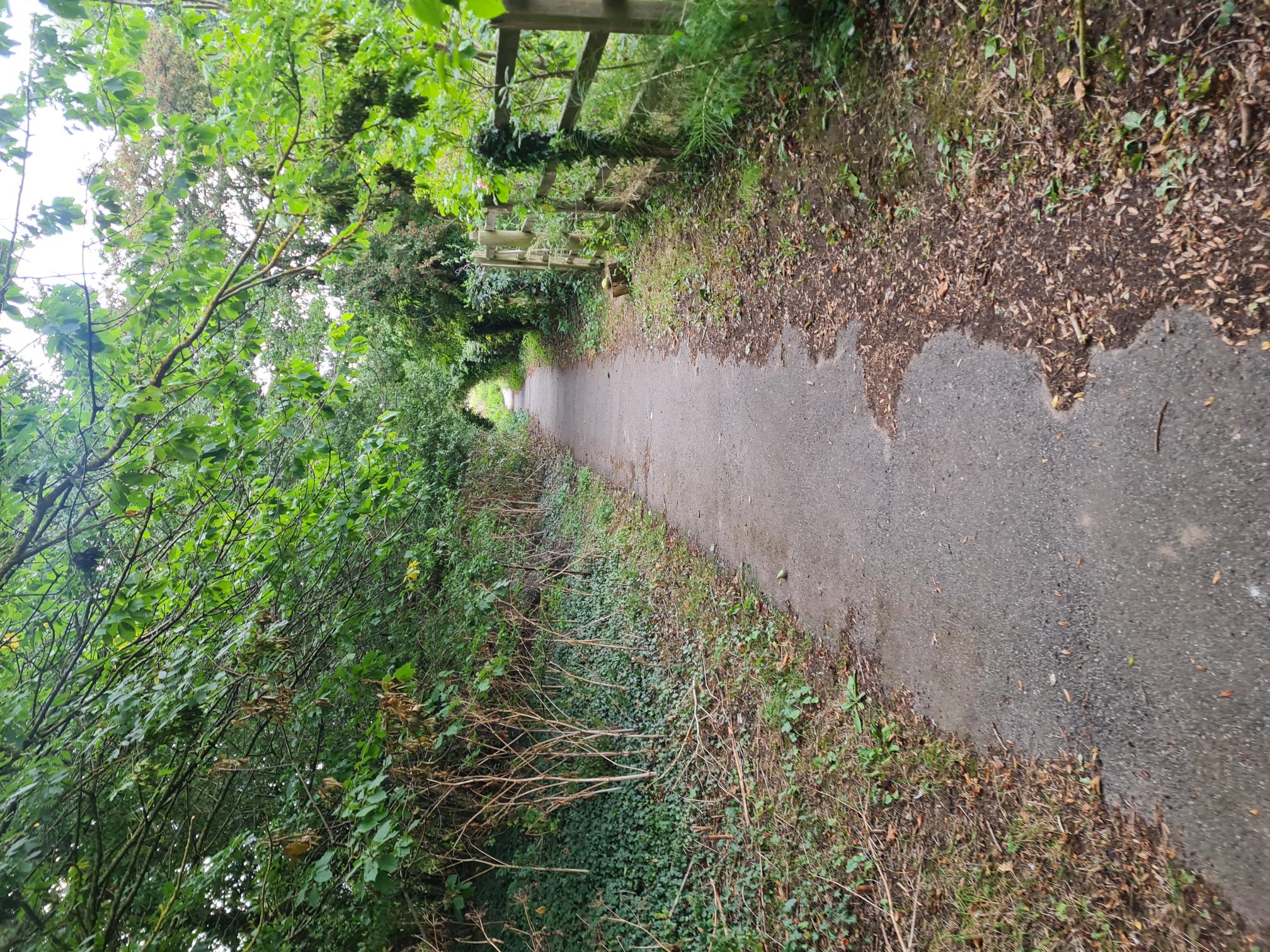 COASTAL TRAIL RUNNERS 's image