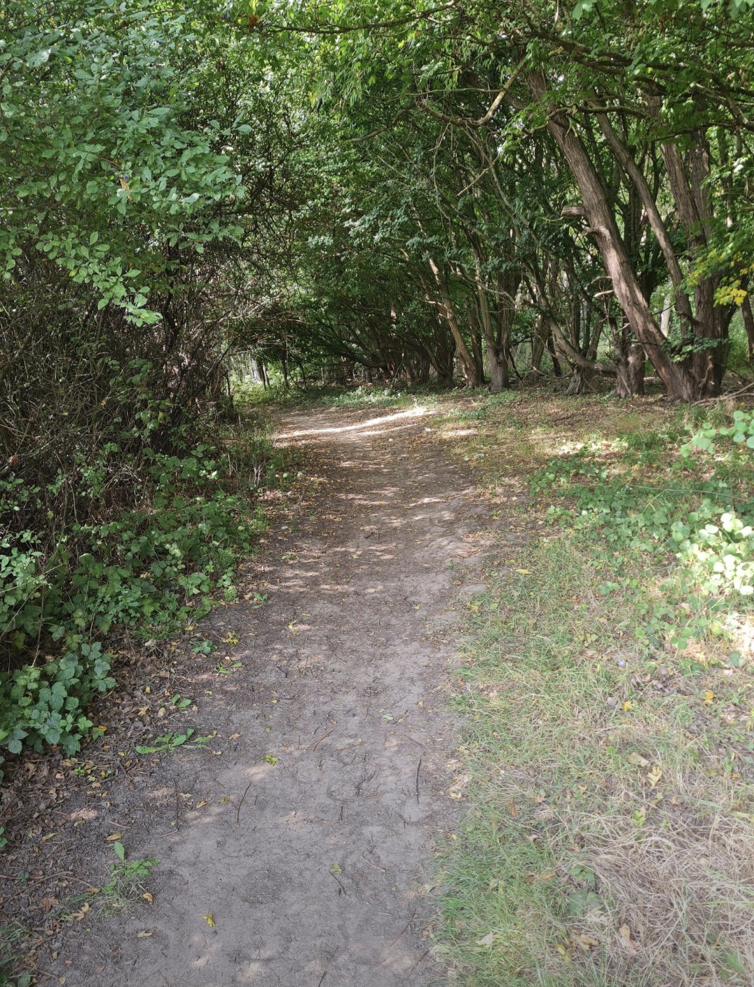 COASTAL TRAIL RUNNERS 's image