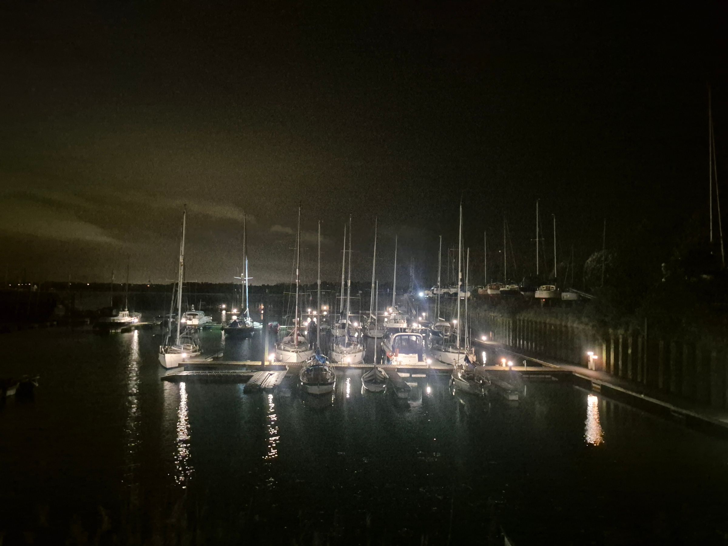 COASTAL TRAIL RUNNERS 's image