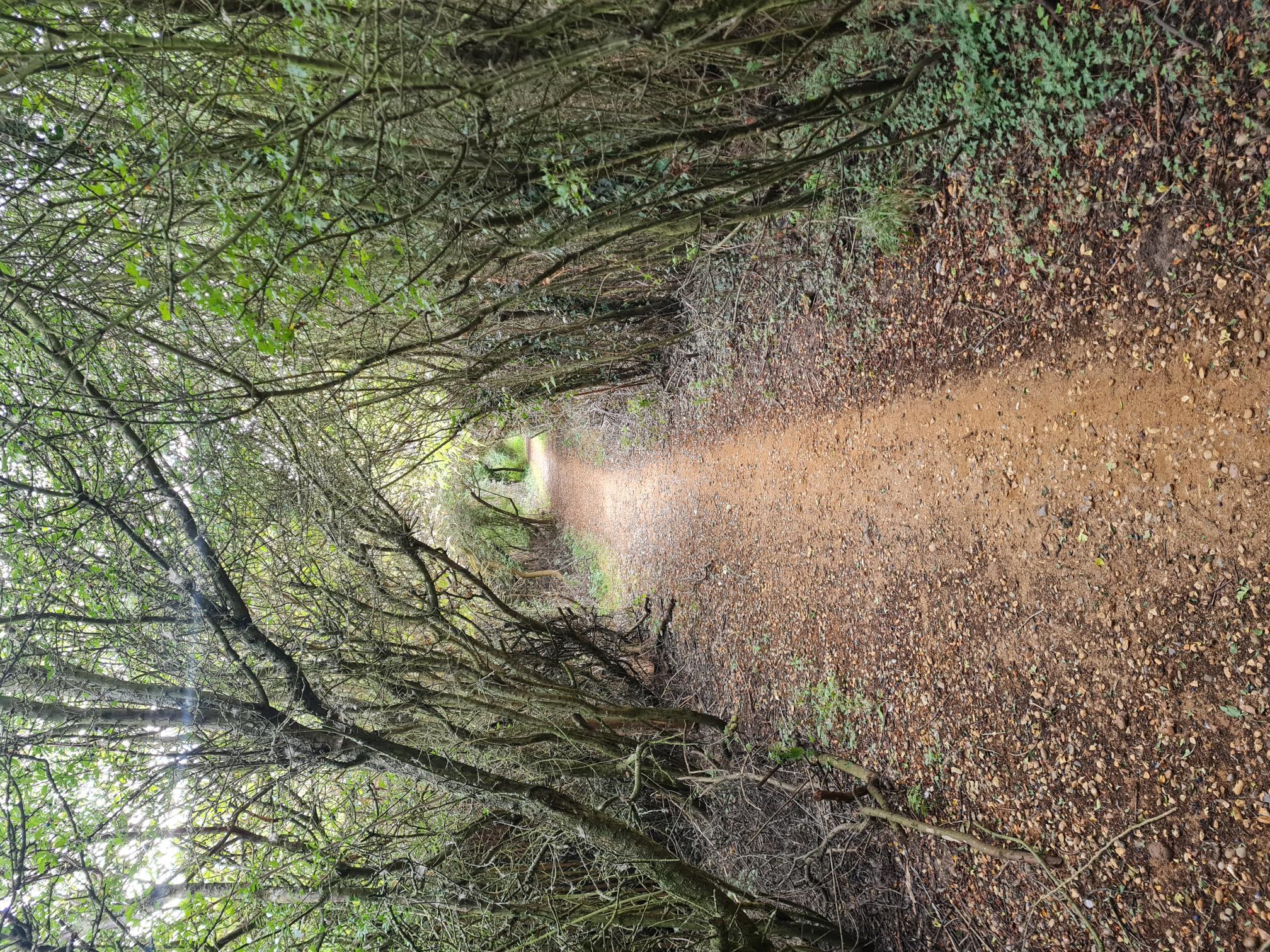 COASTAL TRAIL RUNNERS 's image