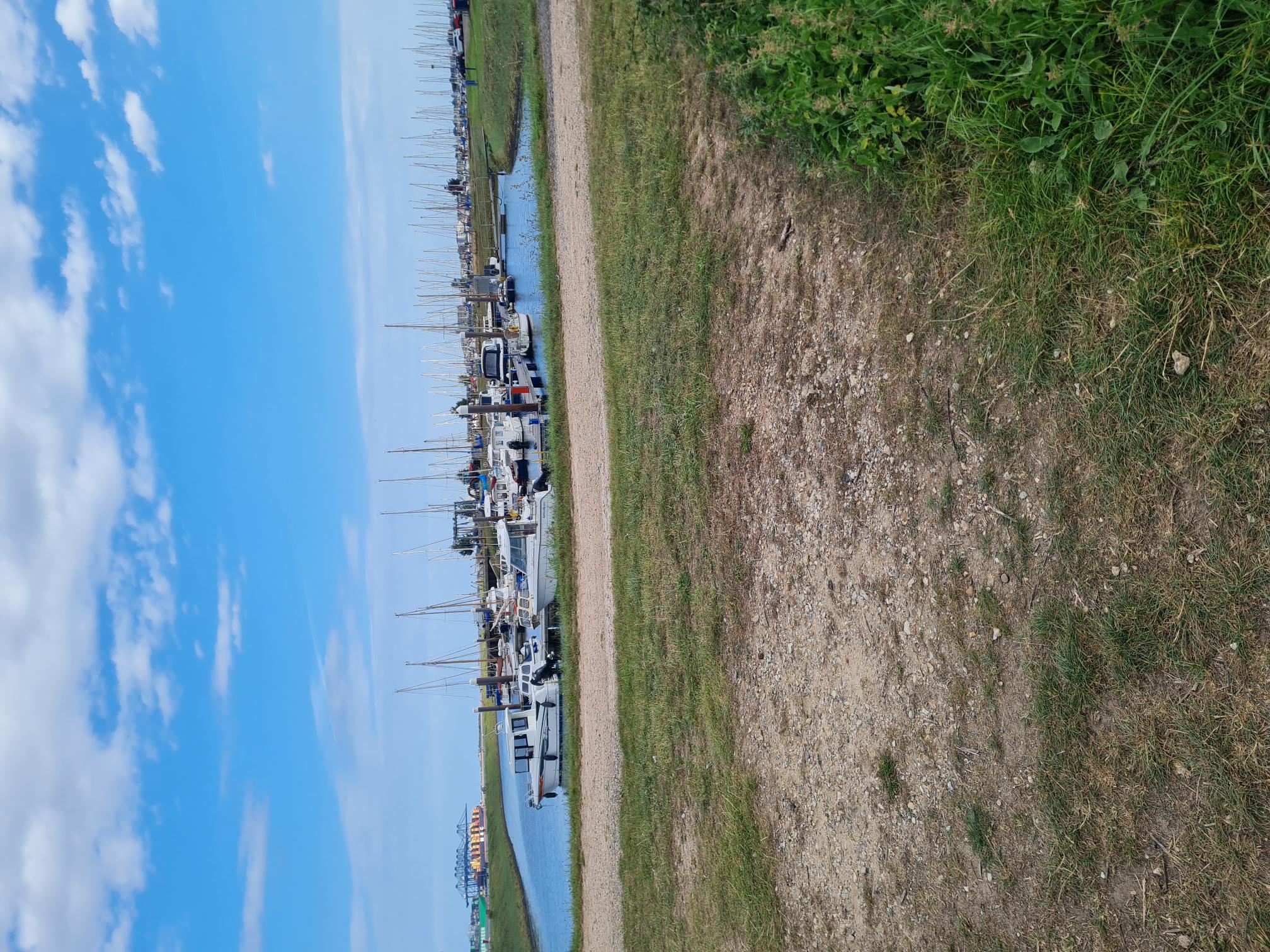 COASTAL TRAIL RUNNERS 's image