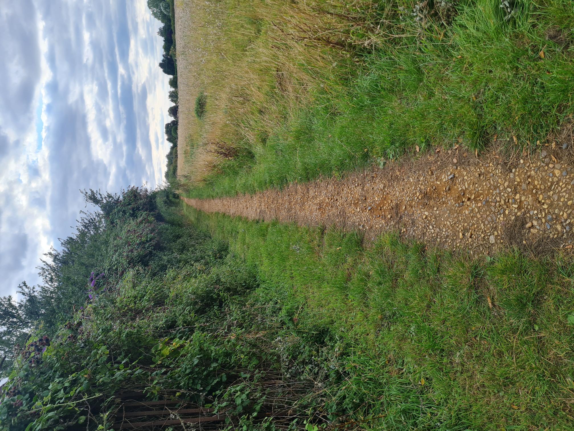 COASTAL TRAIL RUNNERS 's image
